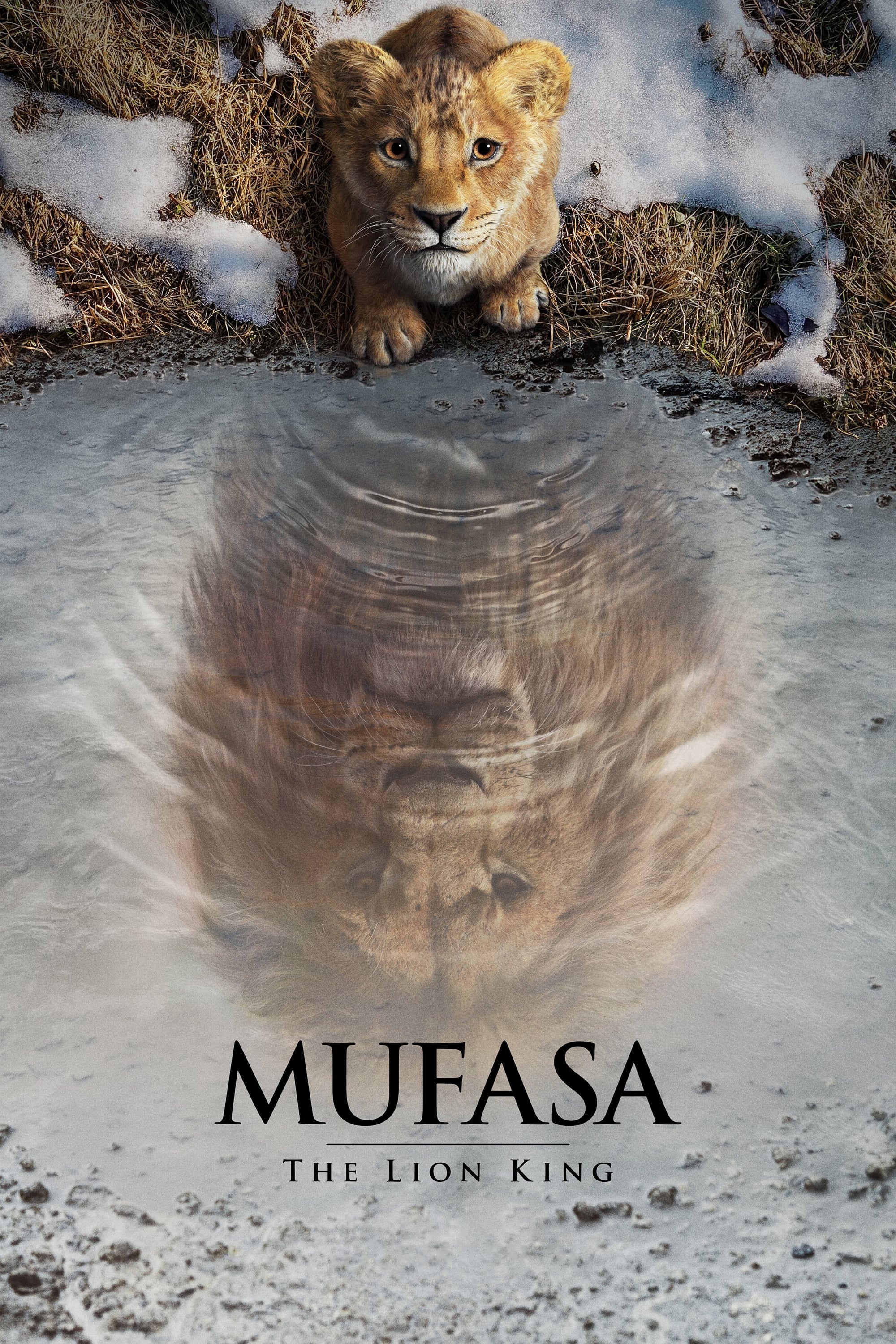 Immagine Mufasa - Il re leone - Poster - Sfondi