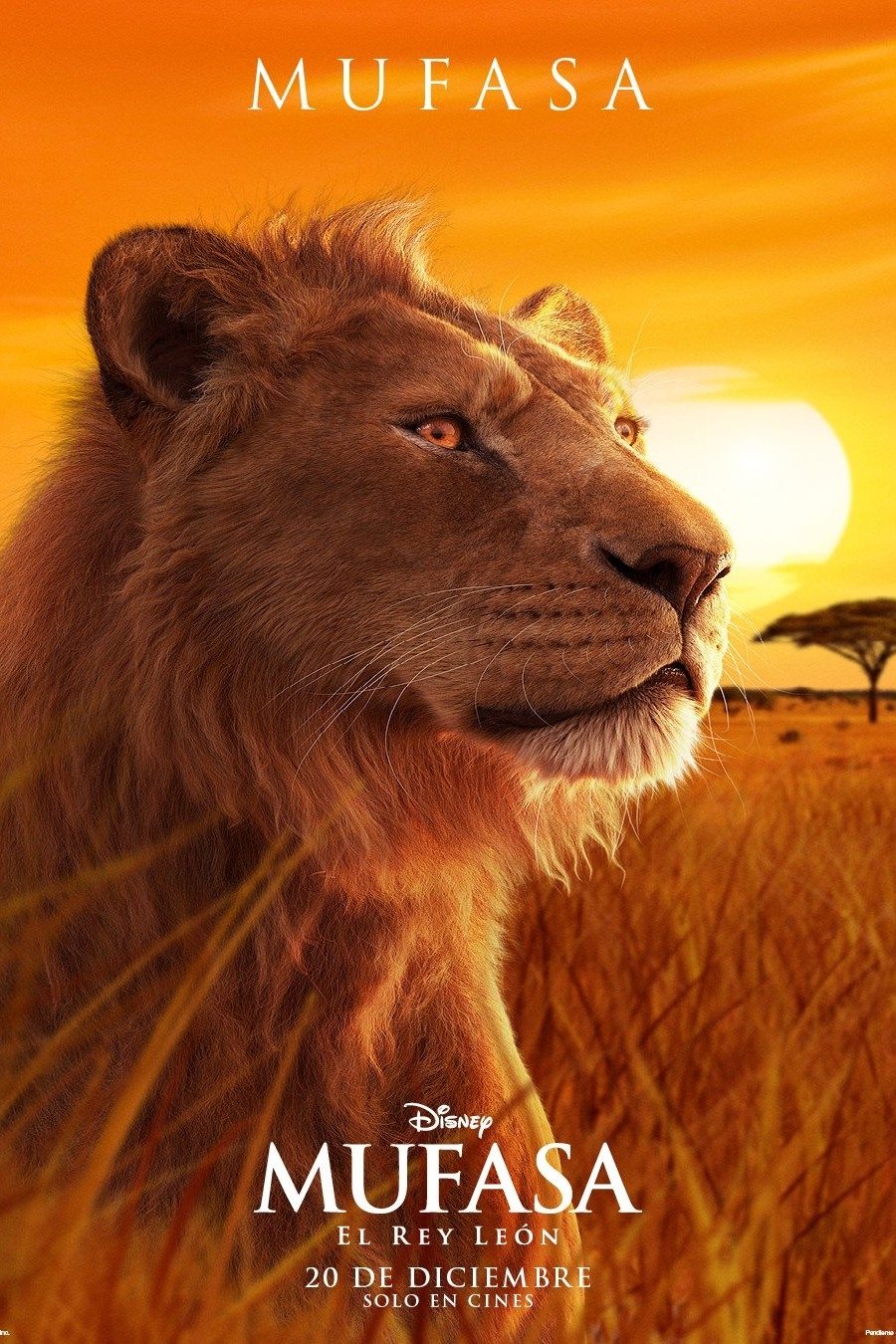 Immagine Mufasa - Il re leone - Poster - Sfondi