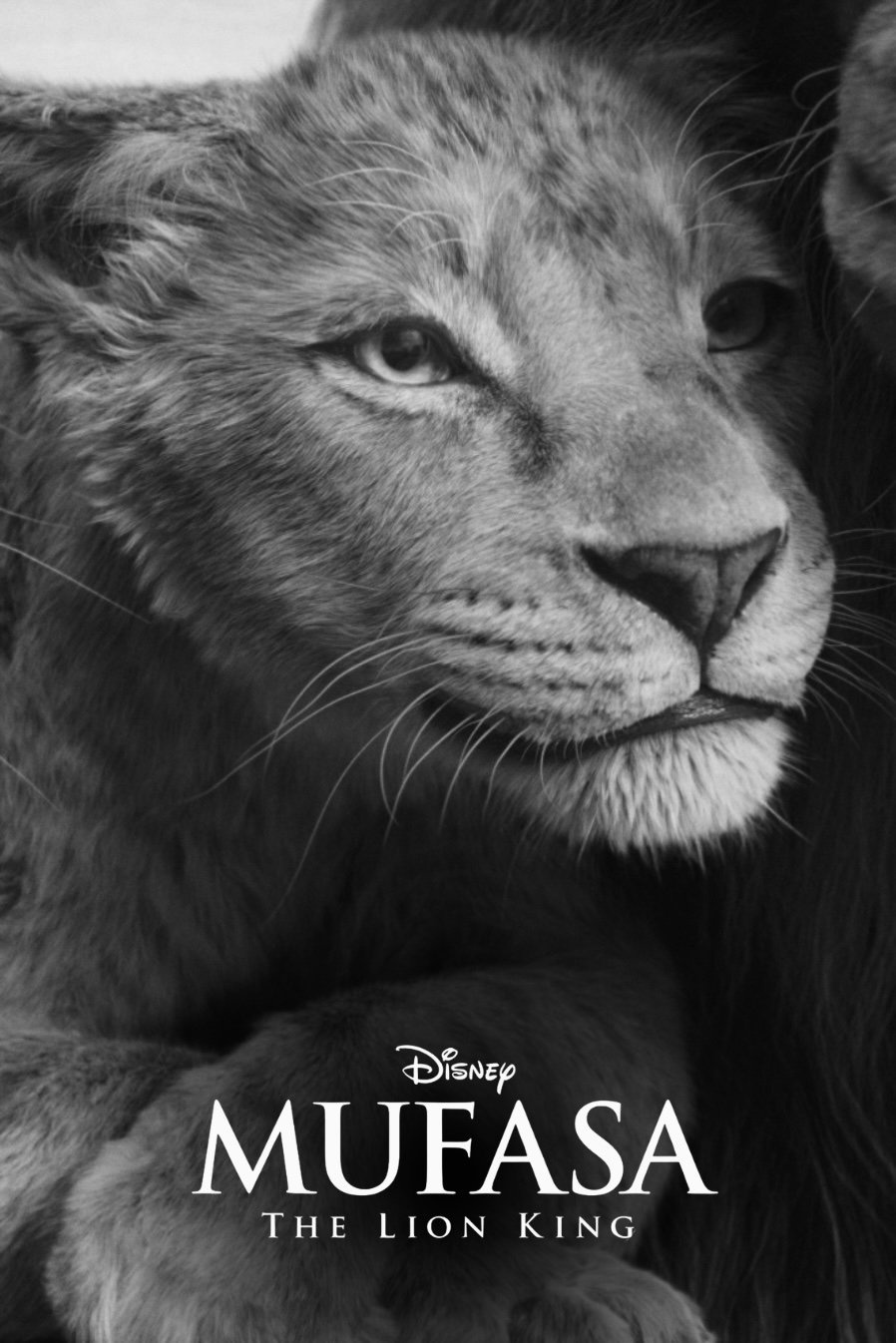 Immagine Mufasa: Il Re Leone - Poster - Sfondi