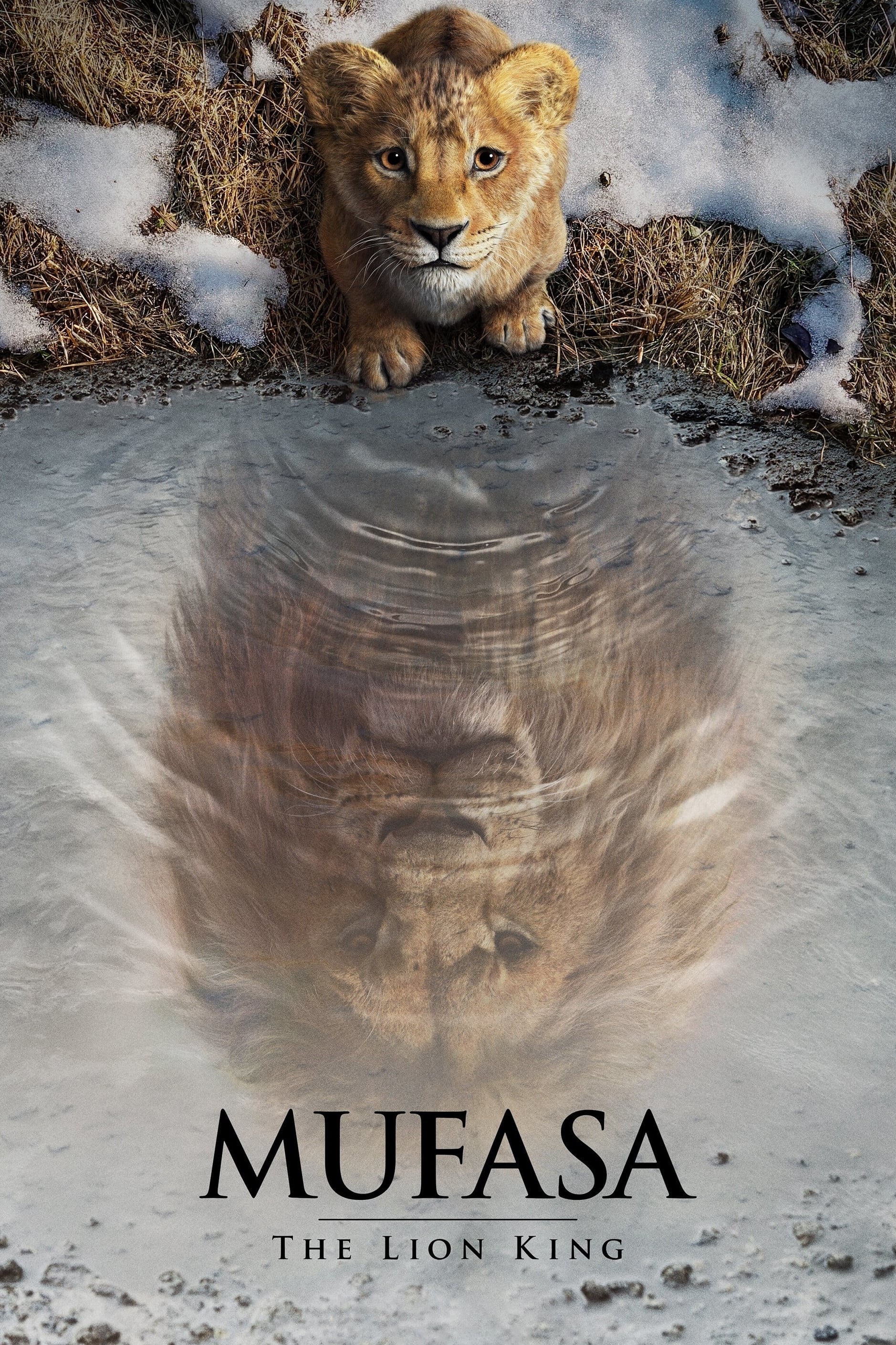 Immagine Mufasa - Il re leone - Poster - Sfondi