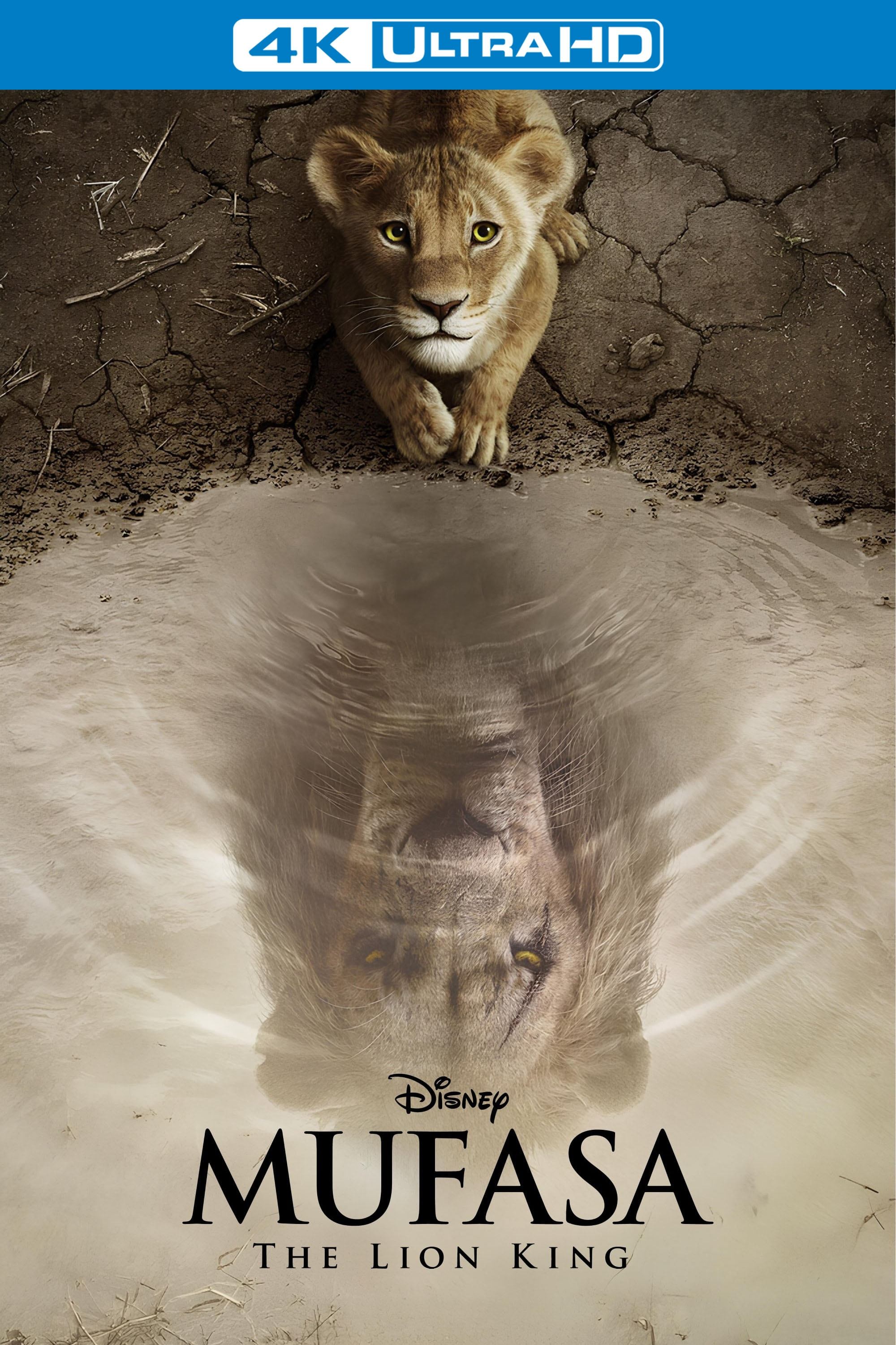 Immagine Mufasa - Il re leone - Poster - Sfondi