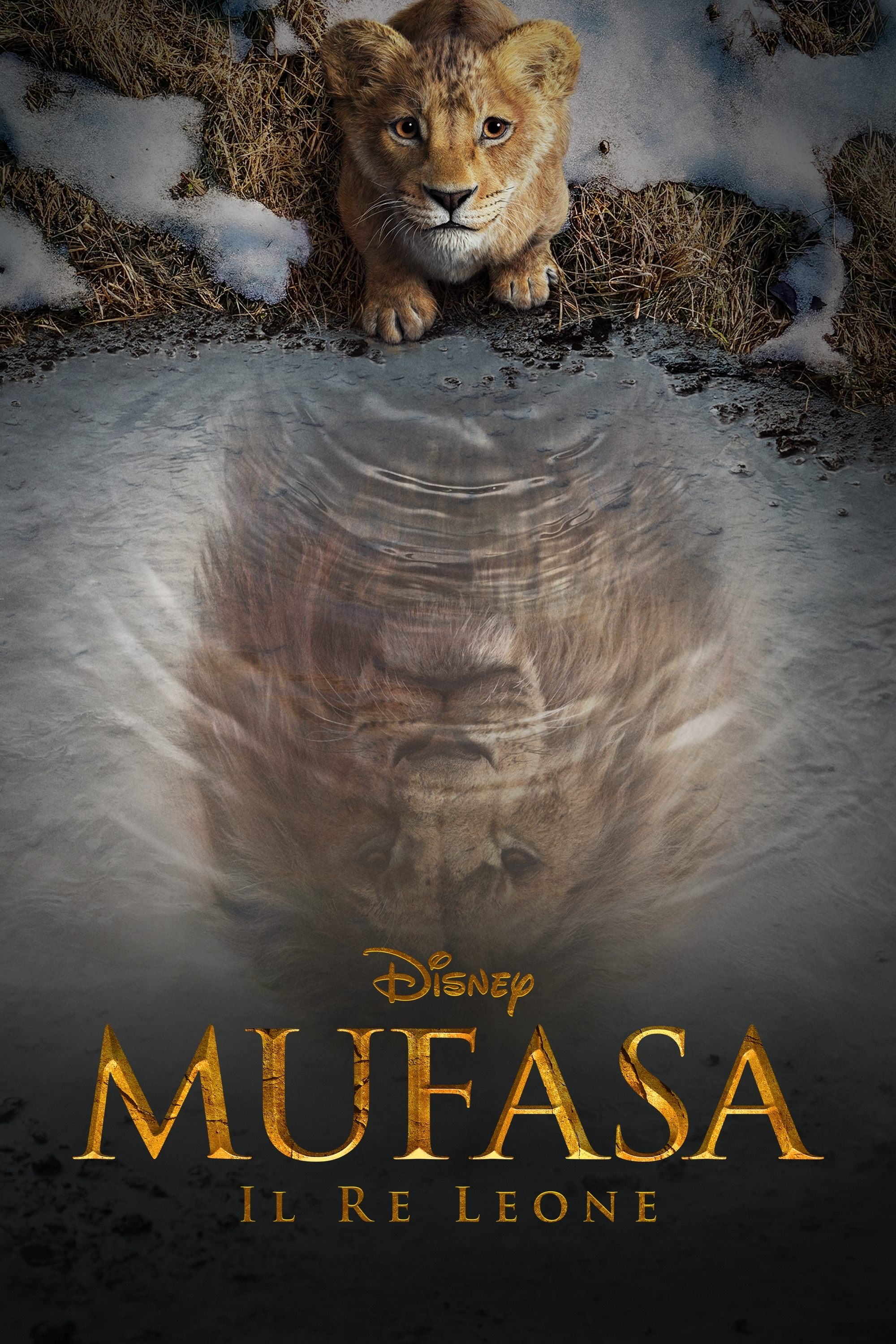 Immagine Mufasa - Il re leone - Poster - Sfondi