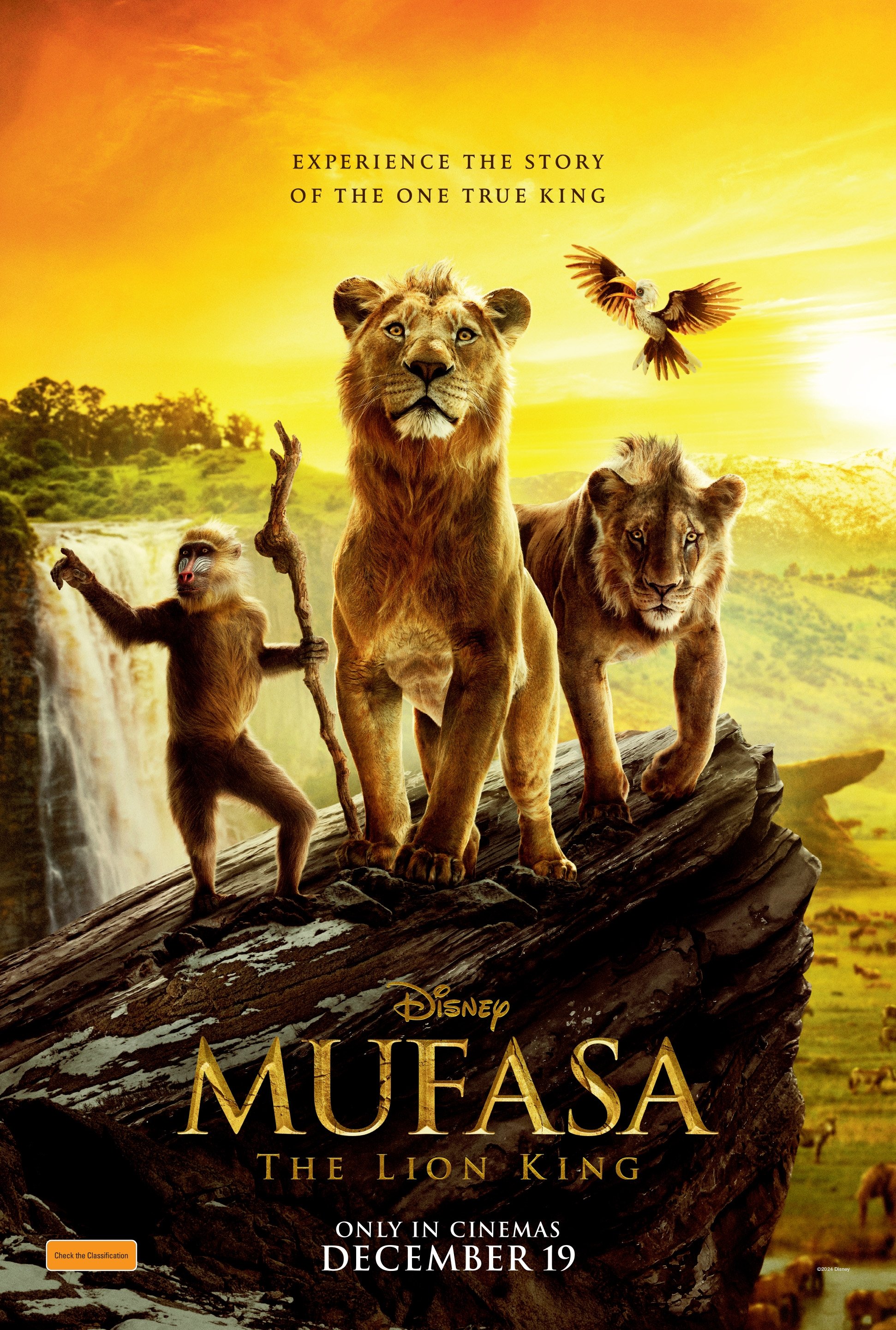 Immagine Mufasa: Il Re Leone - Poster - Sfondi