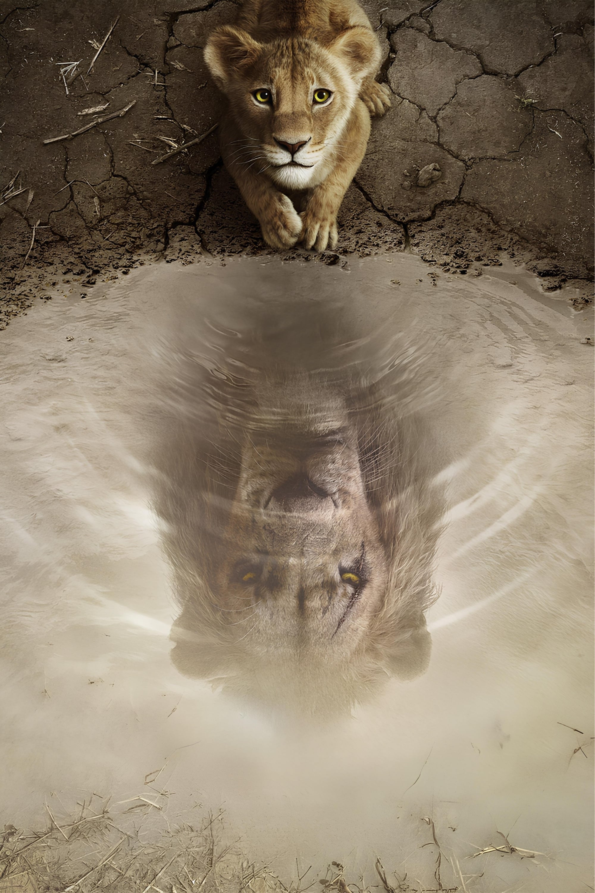 Immagine Mufasa - Il re leone - Poster - Sfondi