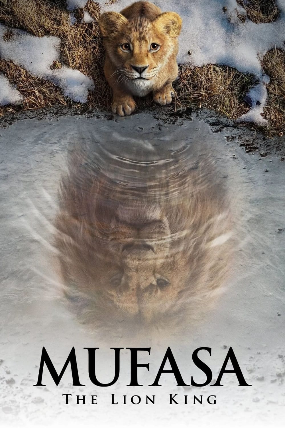 Immagine Mufasa - Il re leone - Poster - Sfondi