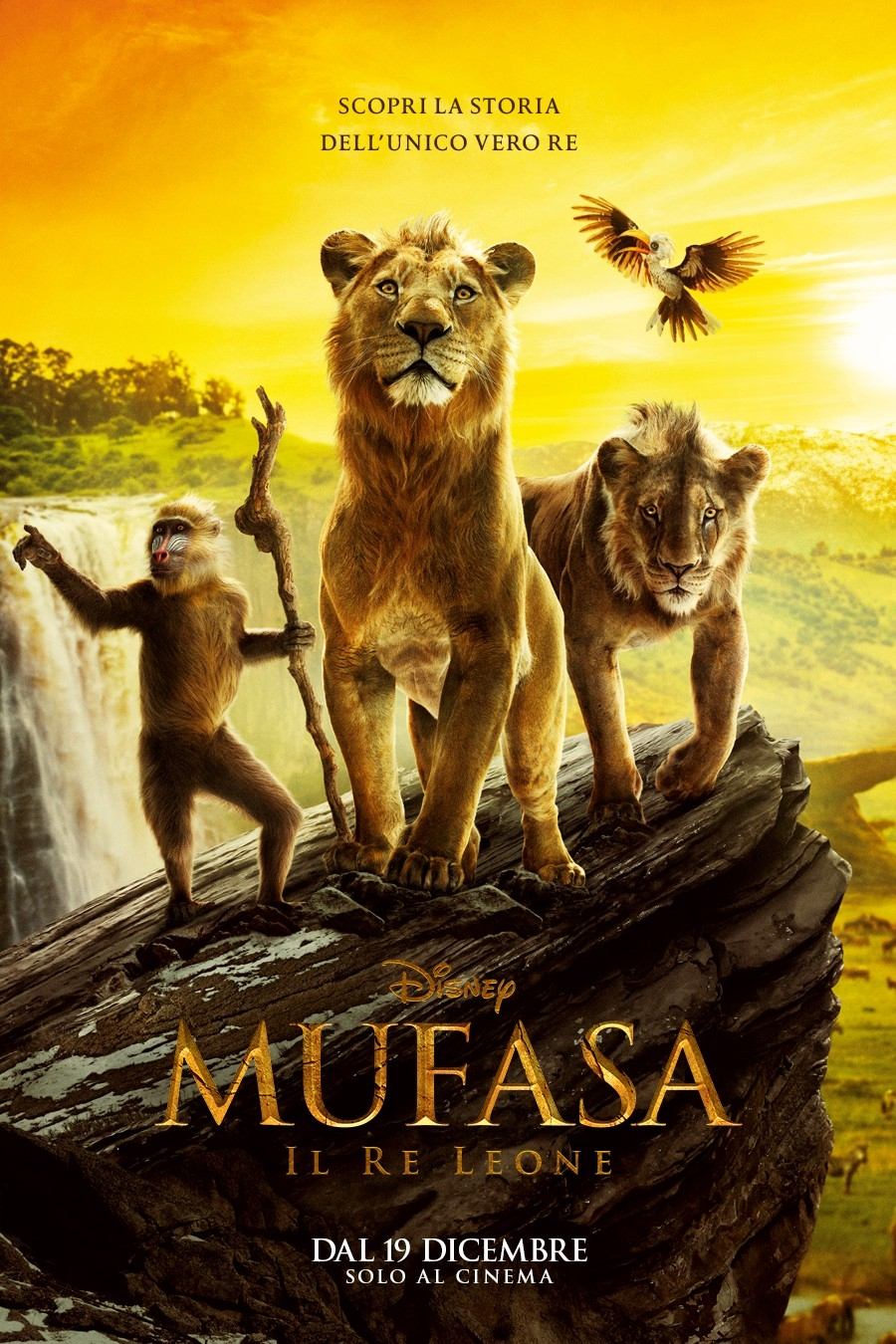 Immagine Mufasa - Il re leone - Poster - Sfondi