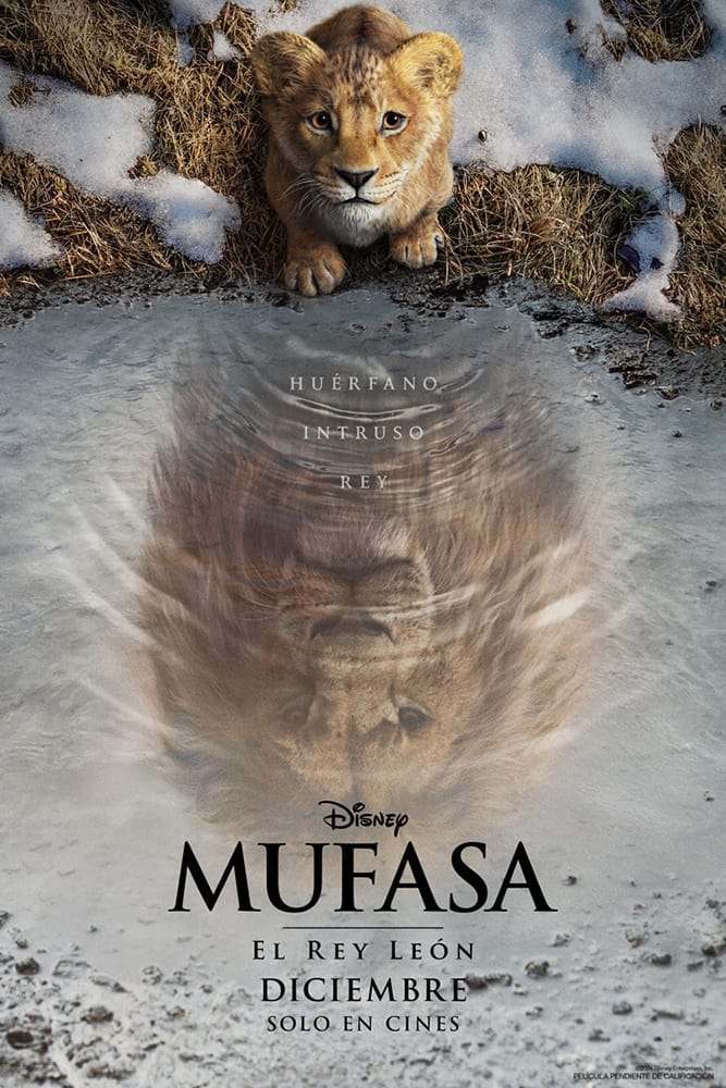 Immagine Mufasa - Il re leone - Poster - Sfondi