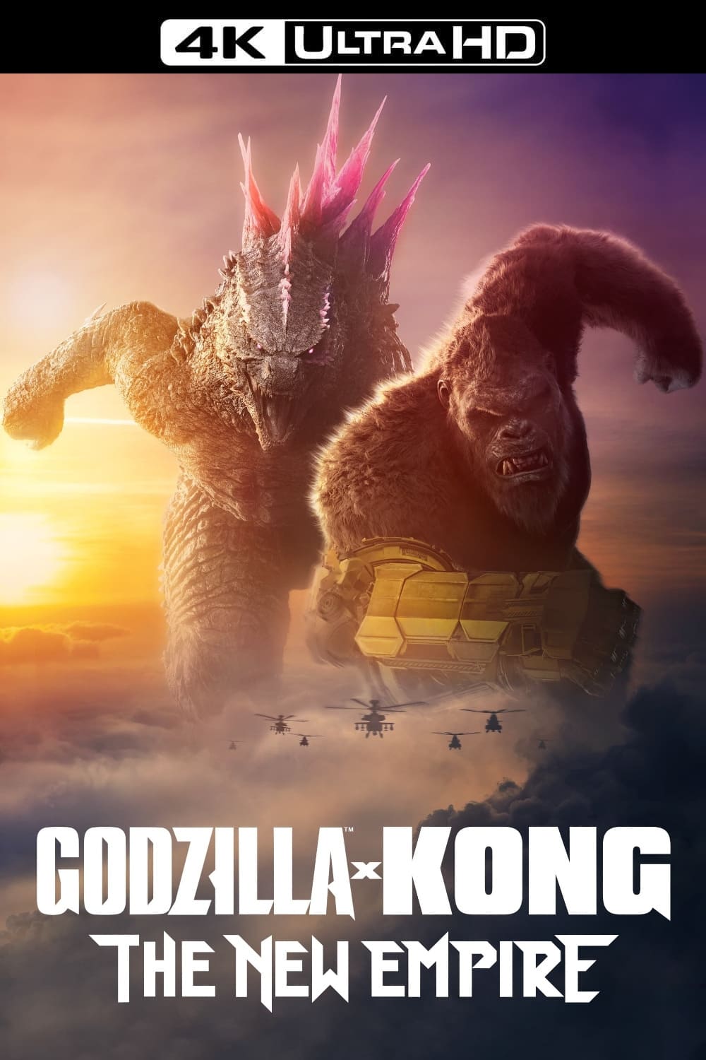 Immagine Godzilla e Kong - Il nuovo impero - Poster - Sfondi