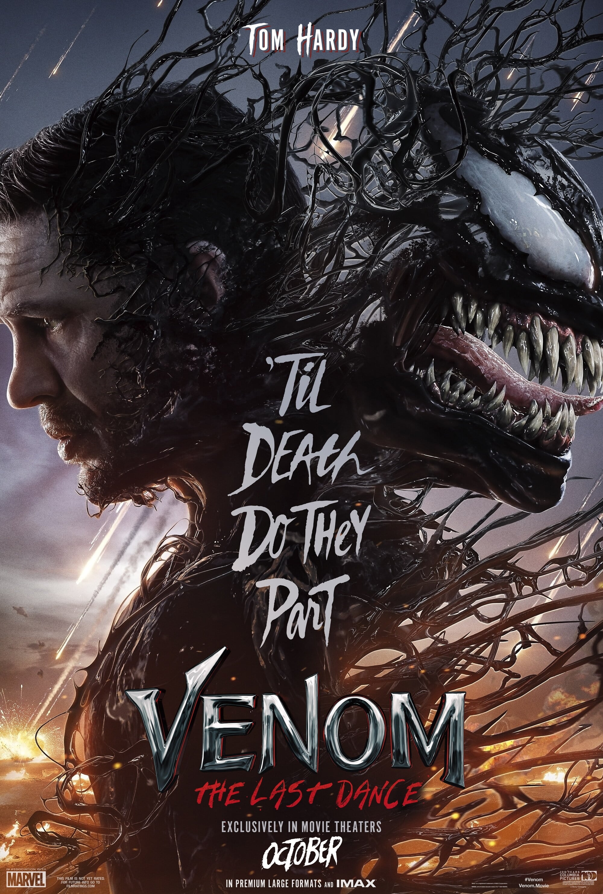 Immagine Venom - The Last Dance - Poster - Sfondi