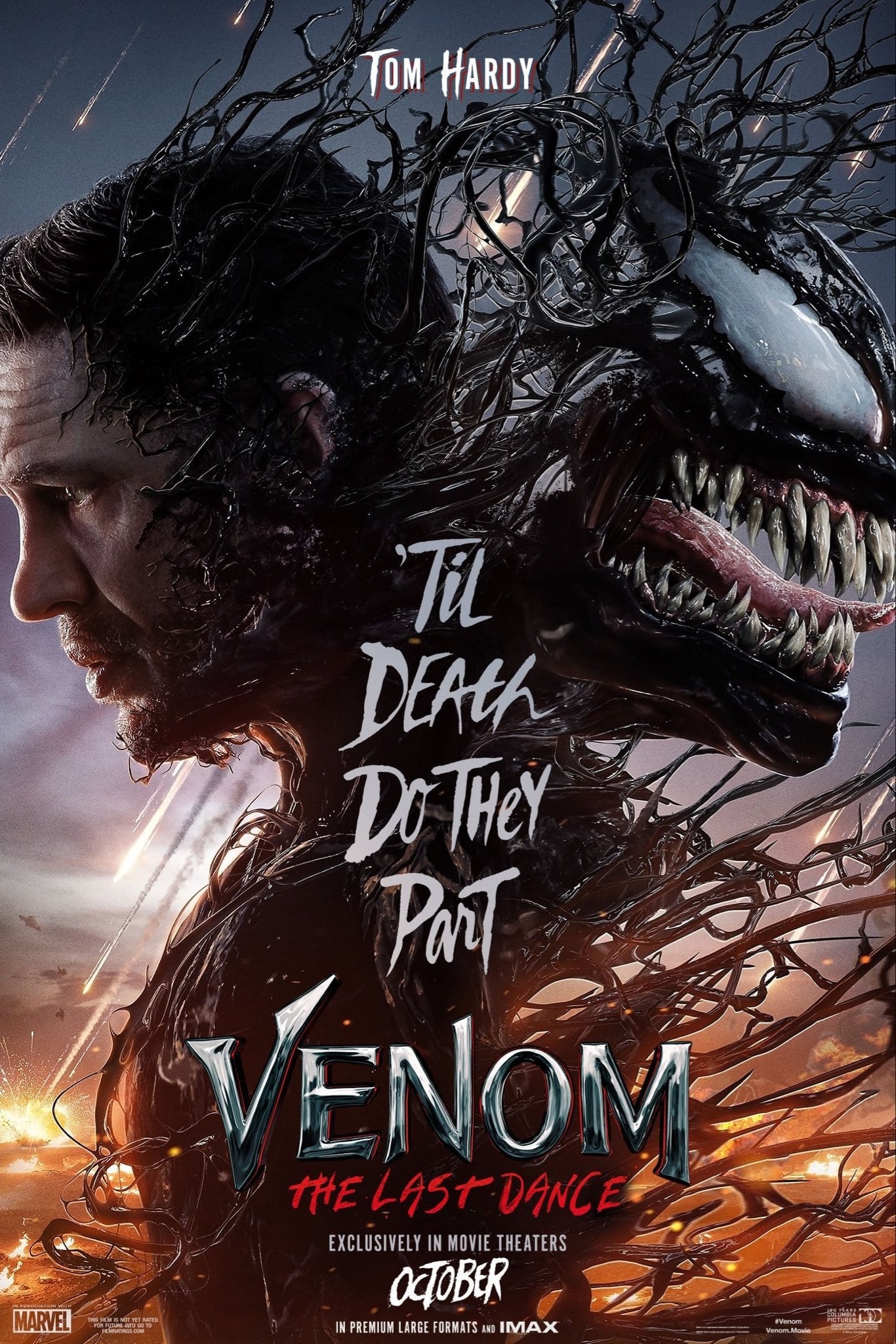 Immagine Venom - The Last Dance - Poster - Sfondi