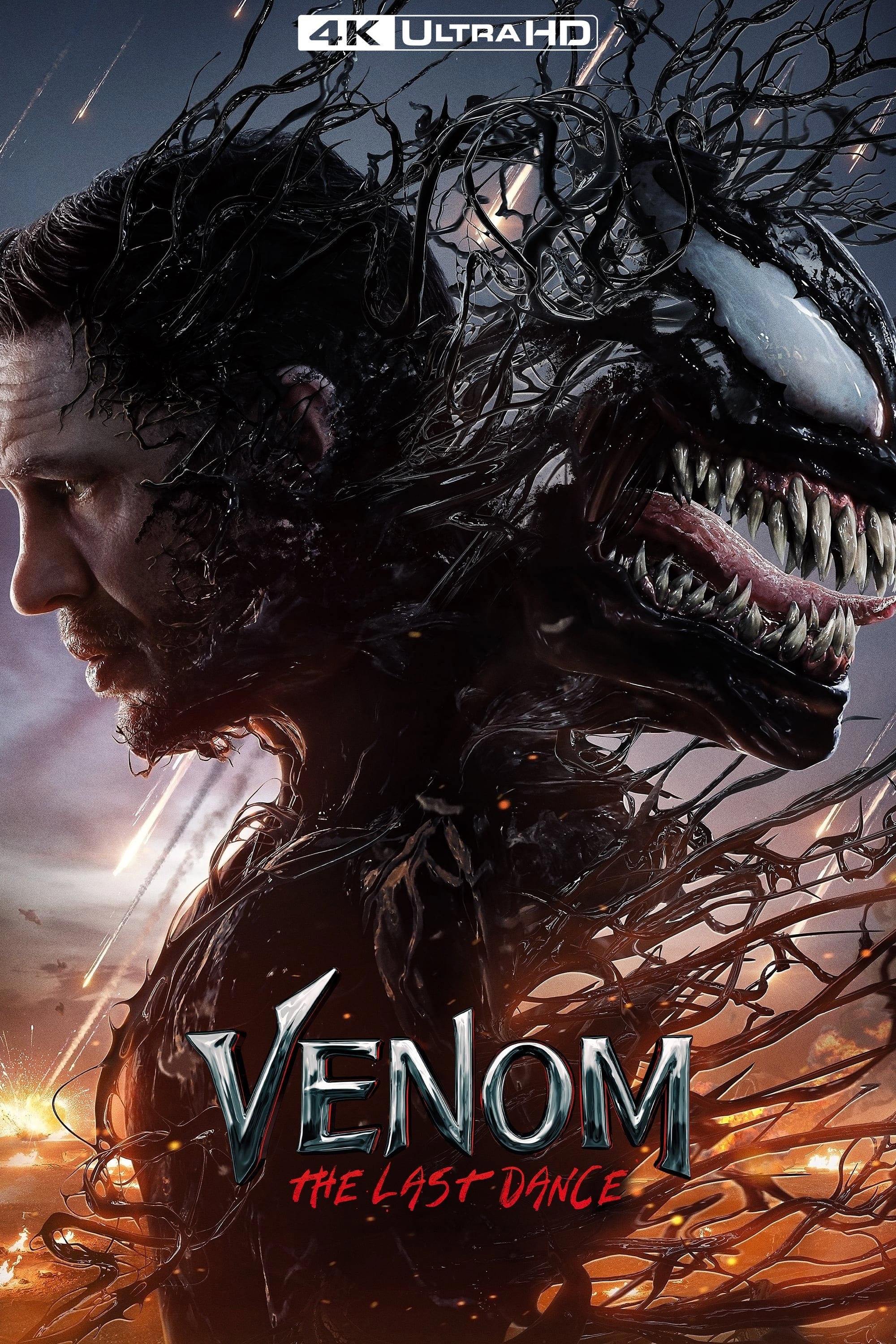 Immagine Venom - The Last Dance - Poster - Sfondi