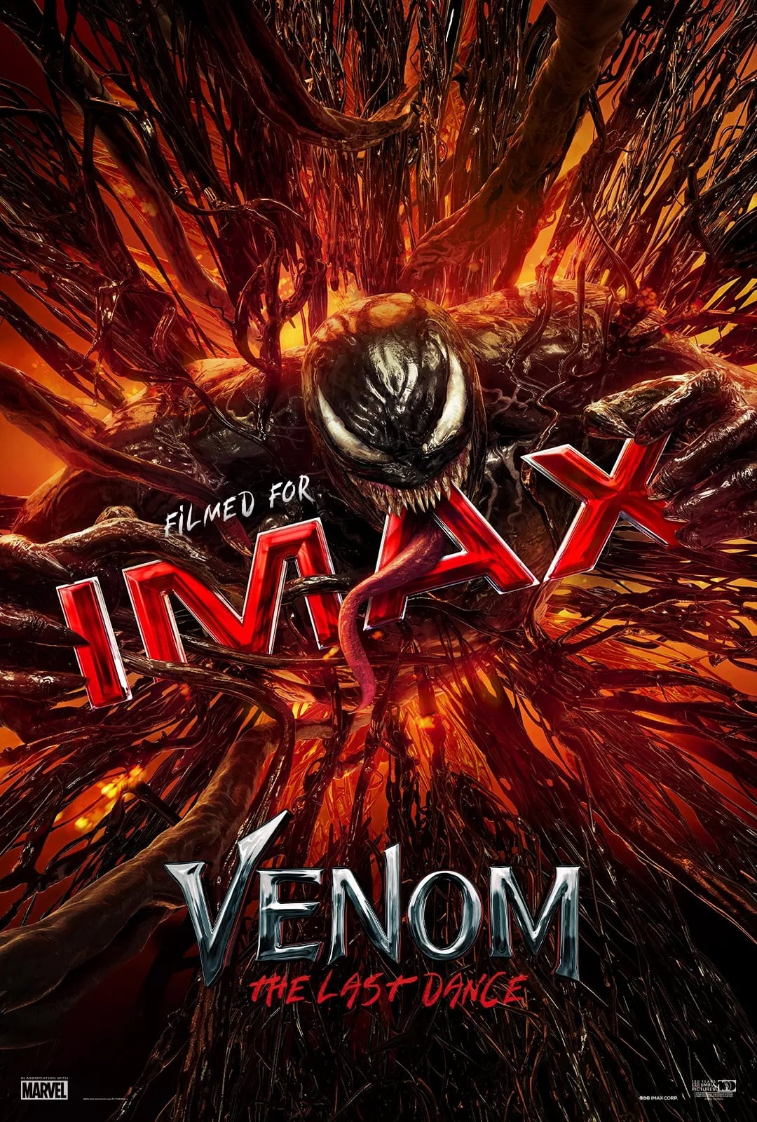 Immagine Venom - The Last Dance - Poster - Sfondi