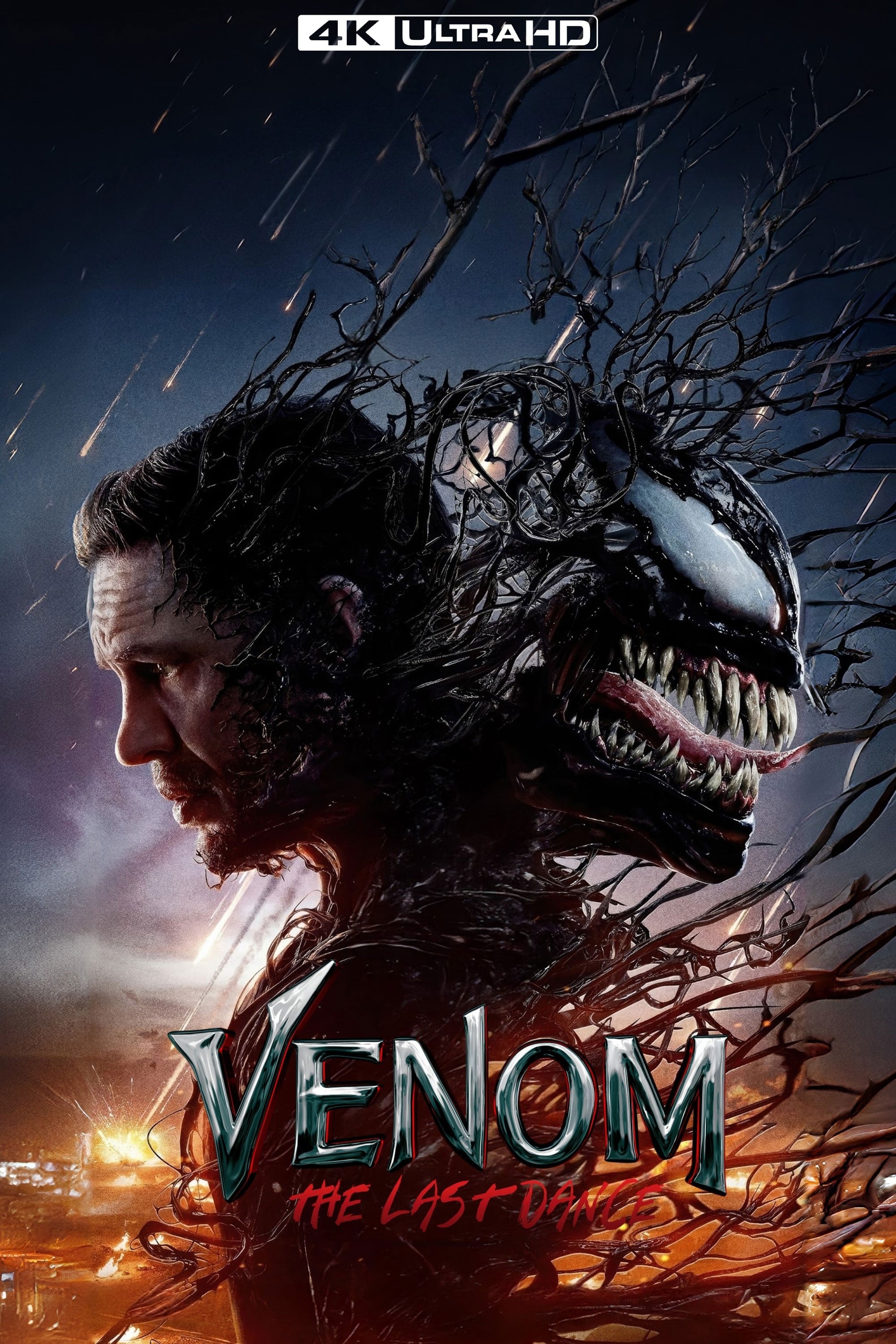 Immagine Venom - The Last Dance - Poster - Sfondi