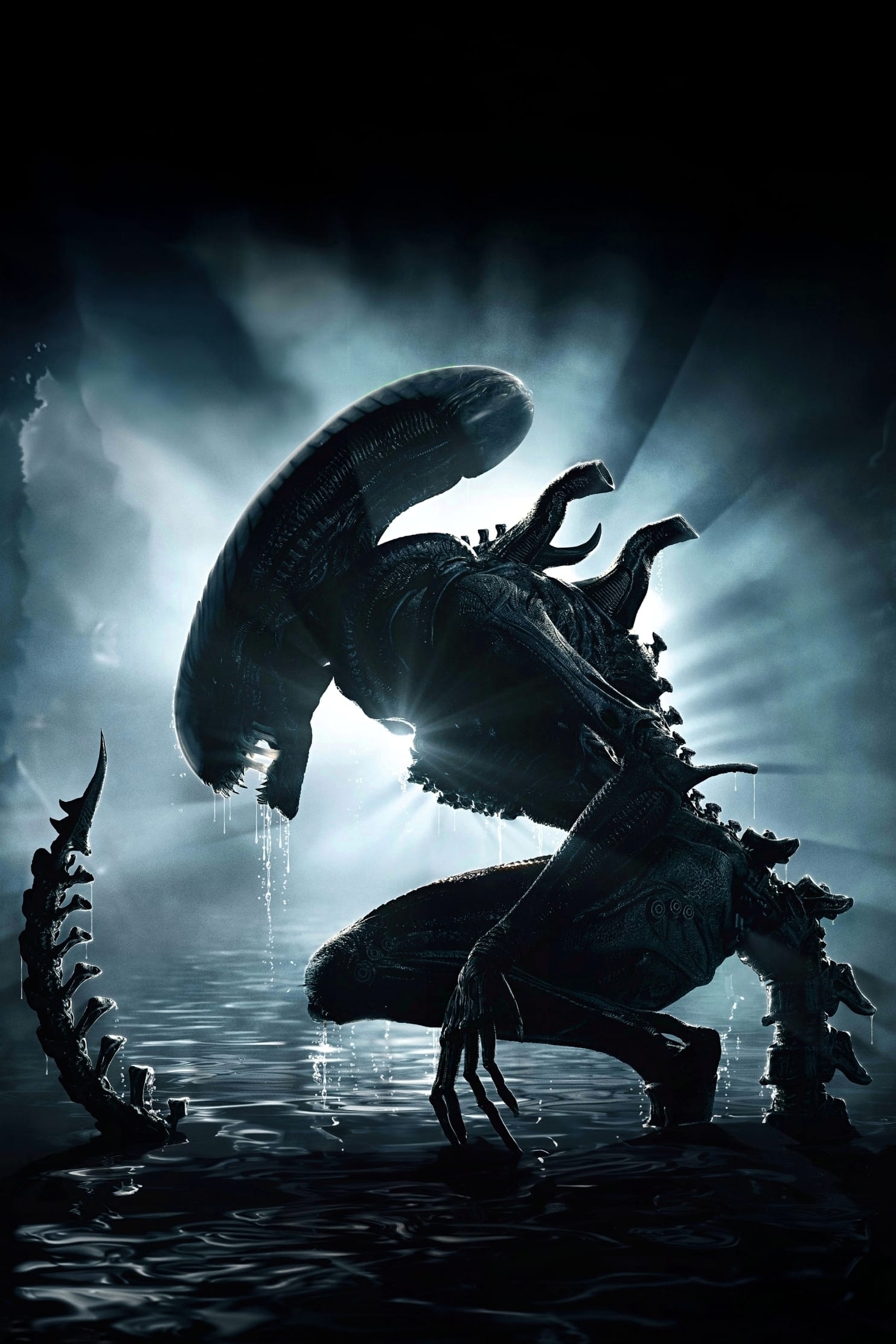 Immagine Alien: Romulus - Poster - Sfondi