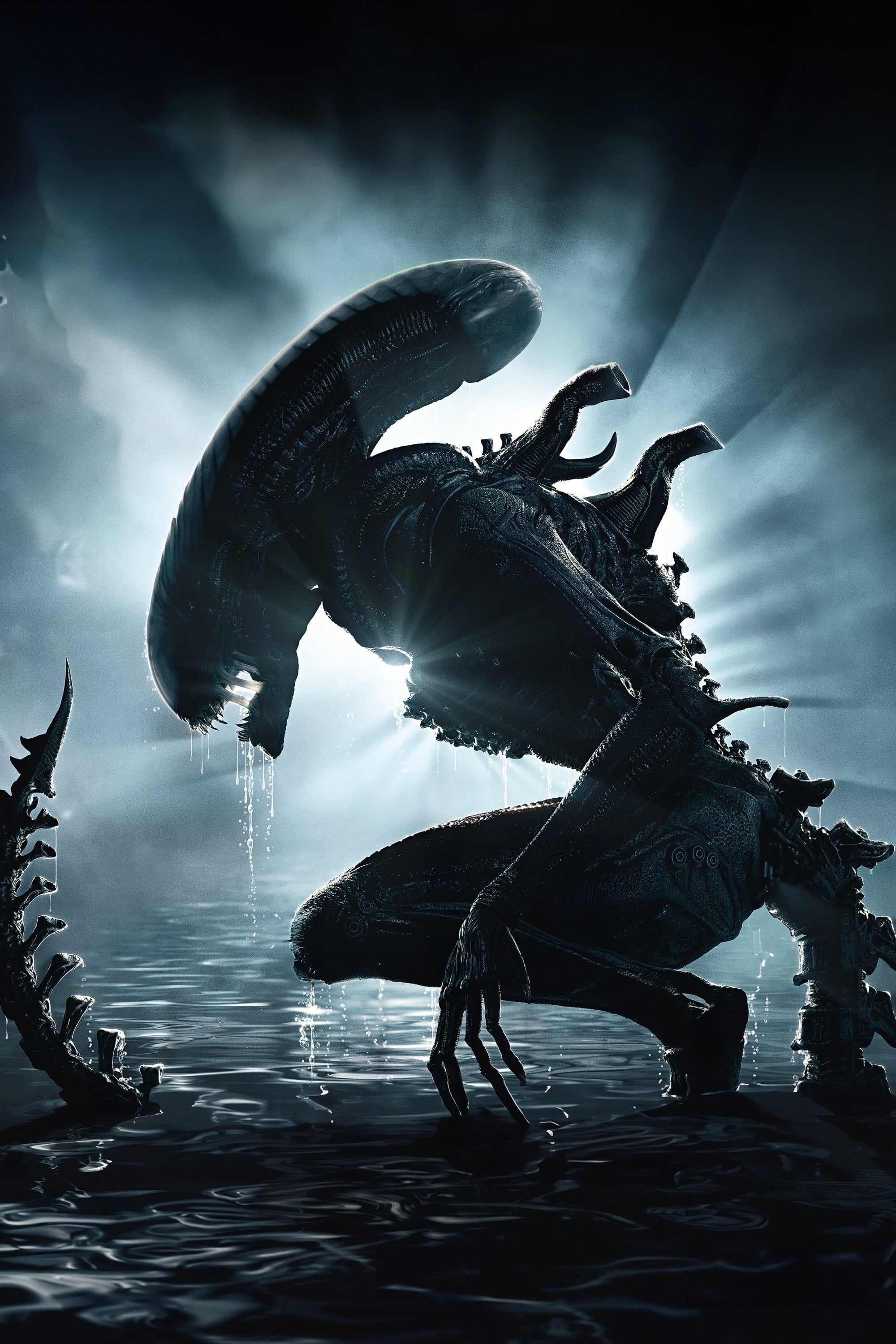 Immagine Alien: Romulus - Poster - Sfondi