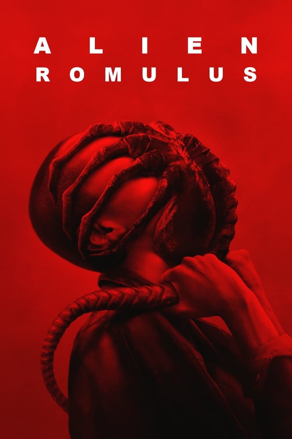 Immagine Alien: Romulus - Poster - Sfondi