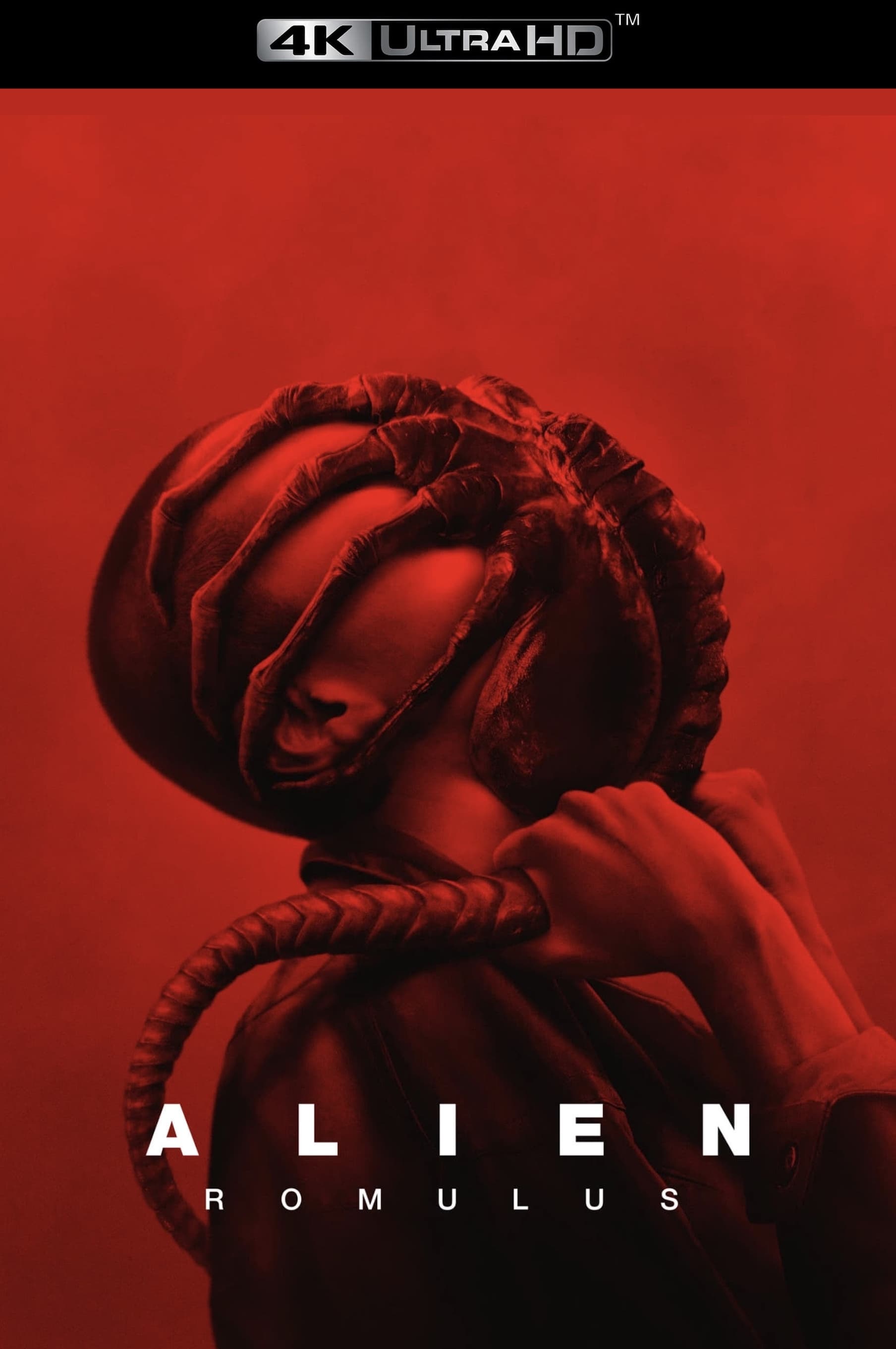 Immagine Alien: Romulus - Poster - Sfondi