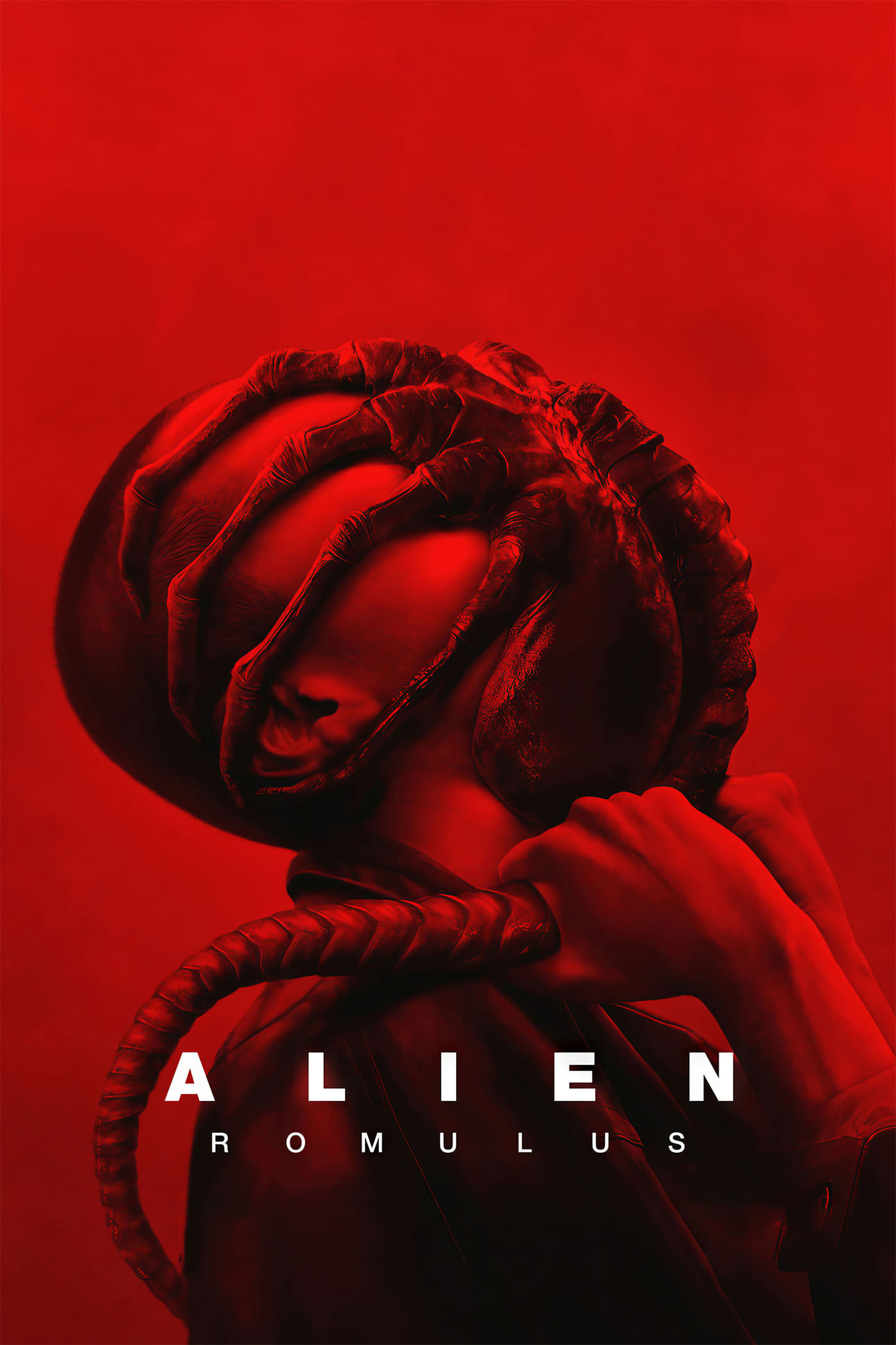 Immagine Alien: Romulus - Poster - Sfondi