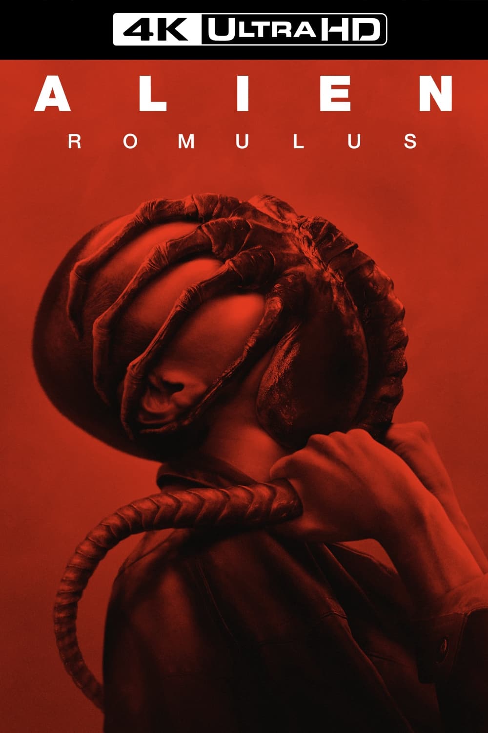 Immagine Alien: Romulus - Poster - Sfondi