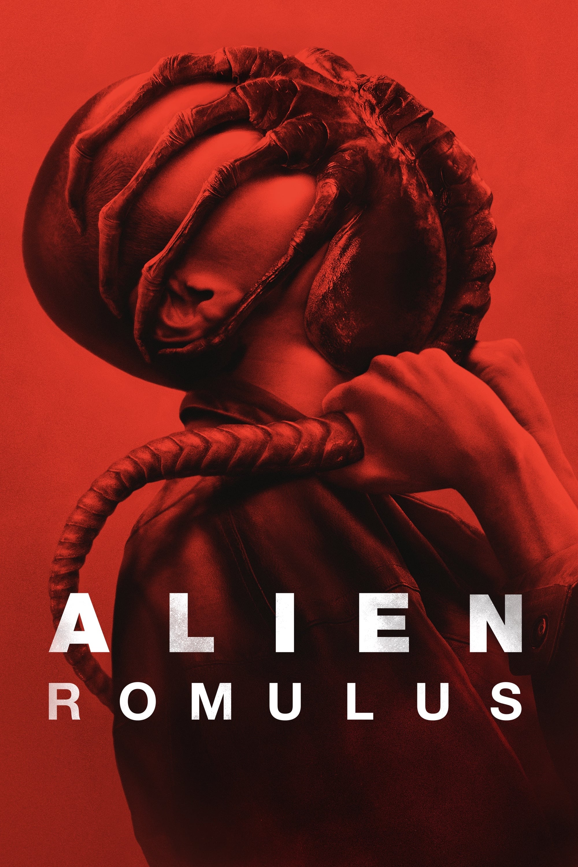 Immagine Alien: Romulus - Poster - Sfondi