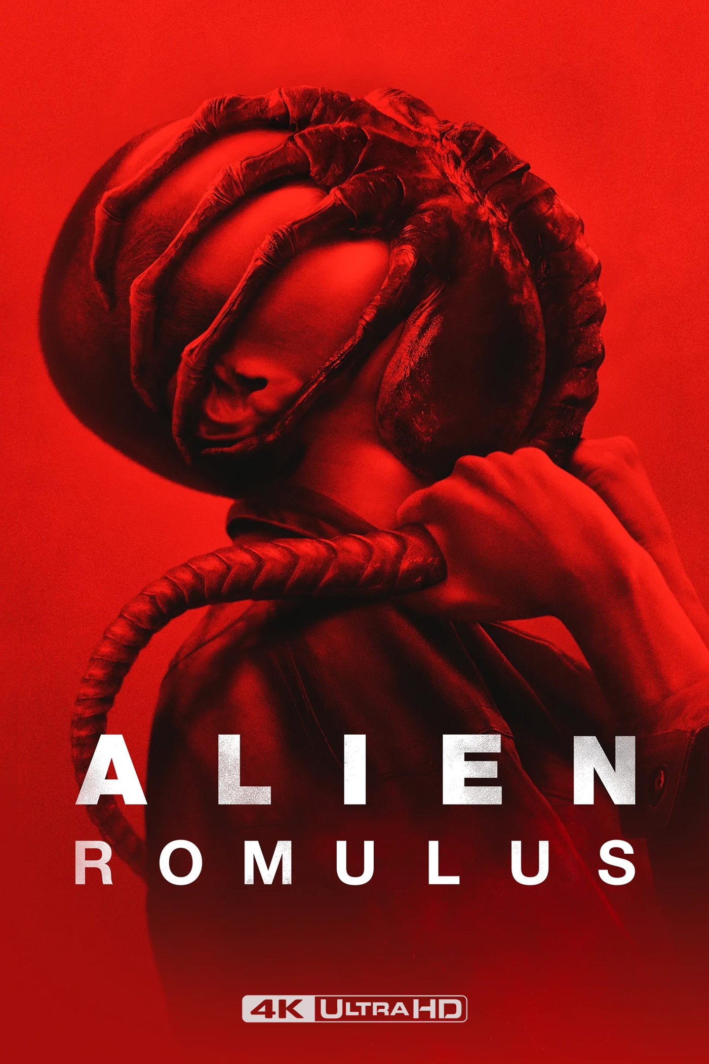 Immagine Alien: Romulus - Poster - Sfondi