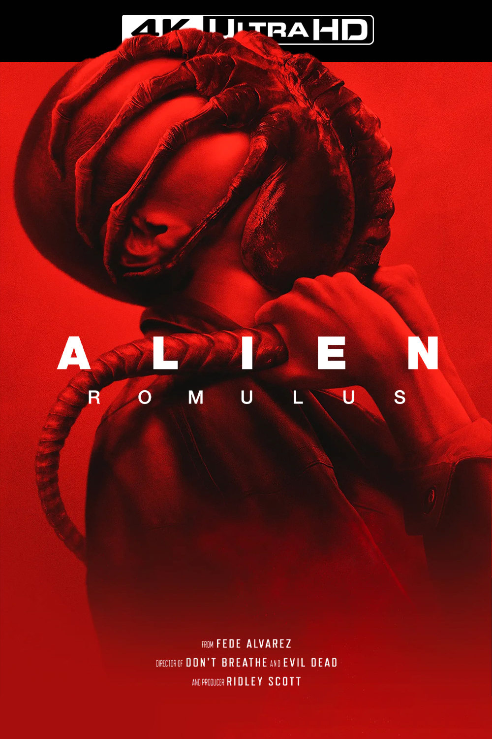 Immagine Alien: Romulus - Poster - Sfondi