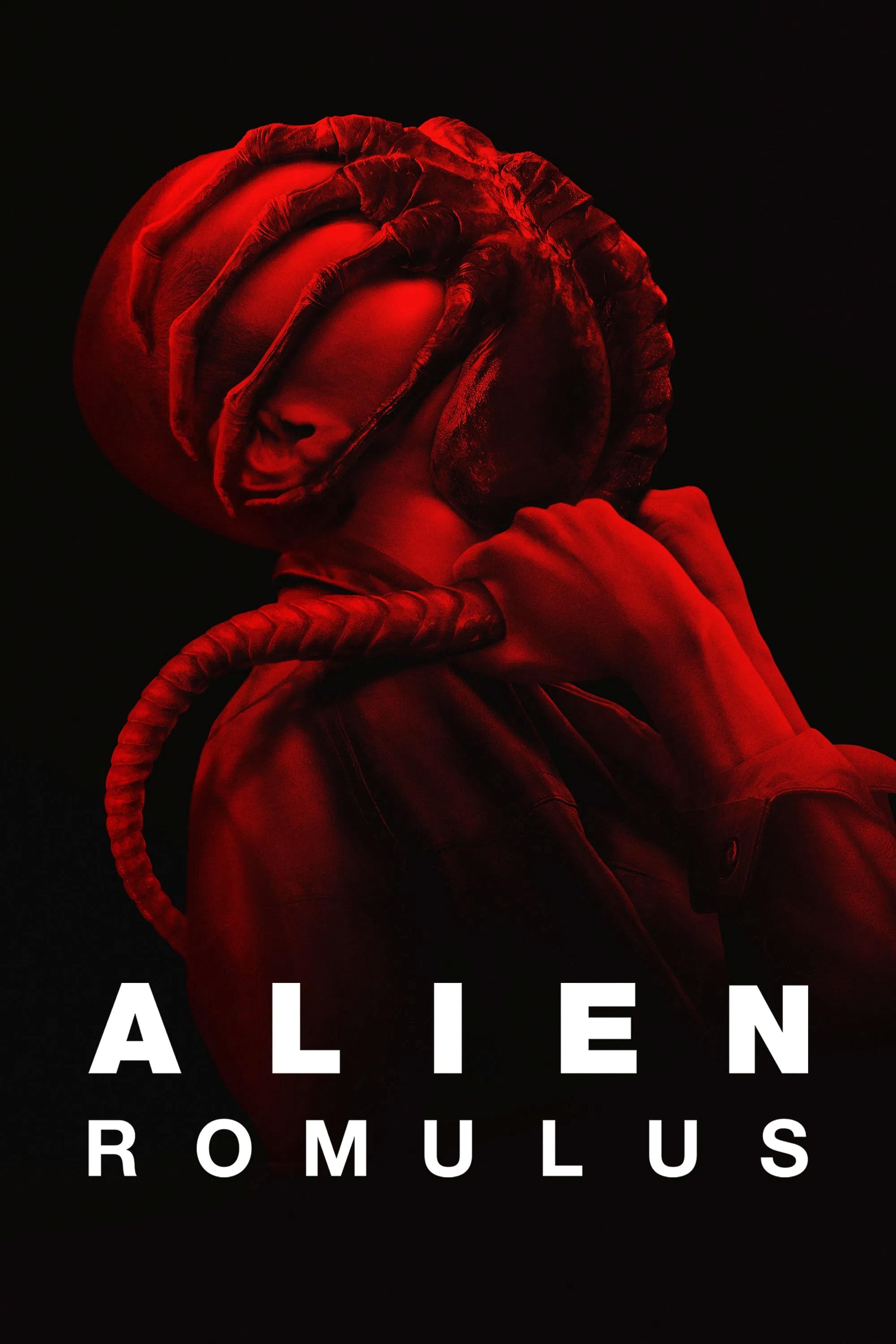 Immagine Alien: Romulus - Poster - Sfondi