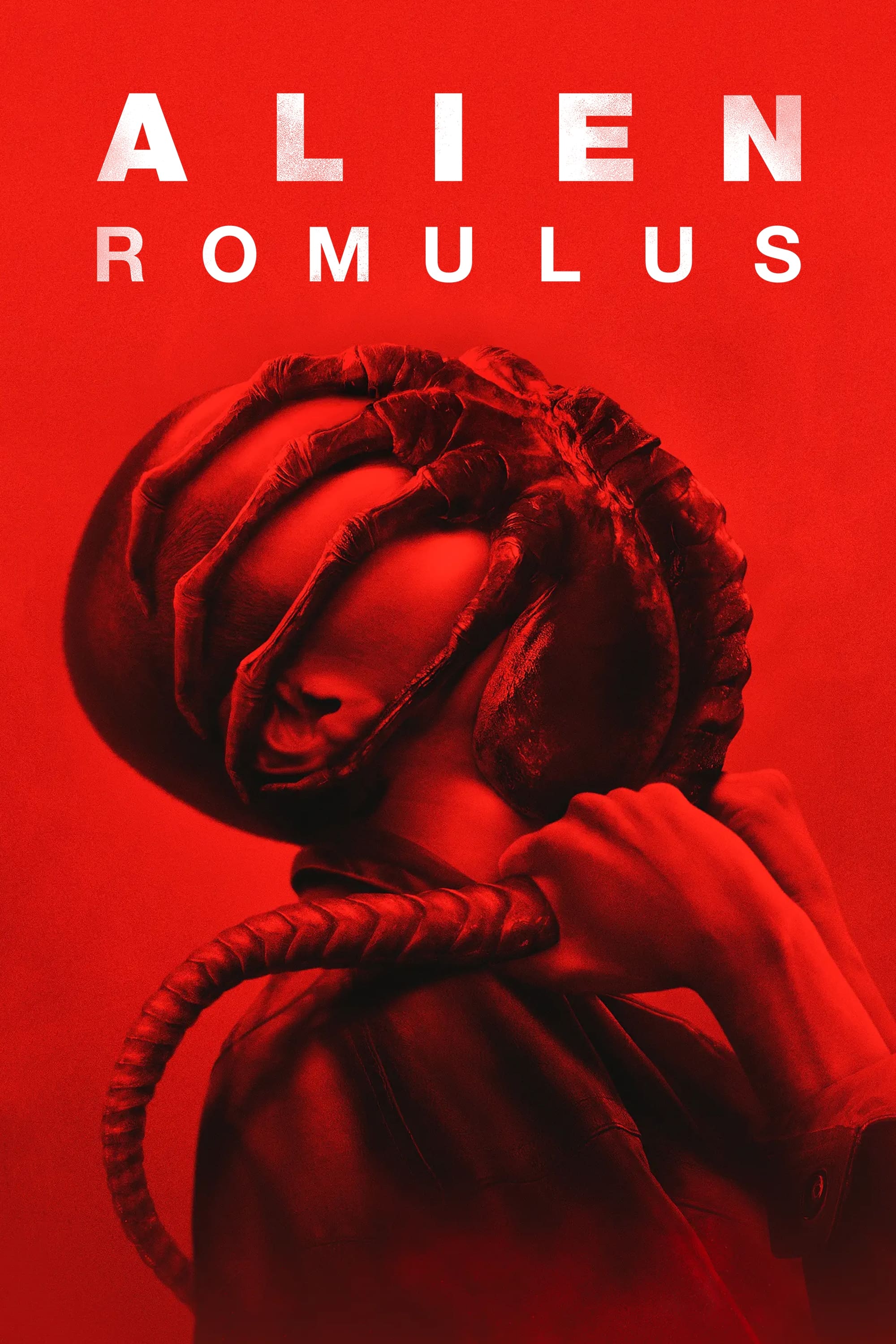 Immagine Alien: Romulus - Poster - Sfondi