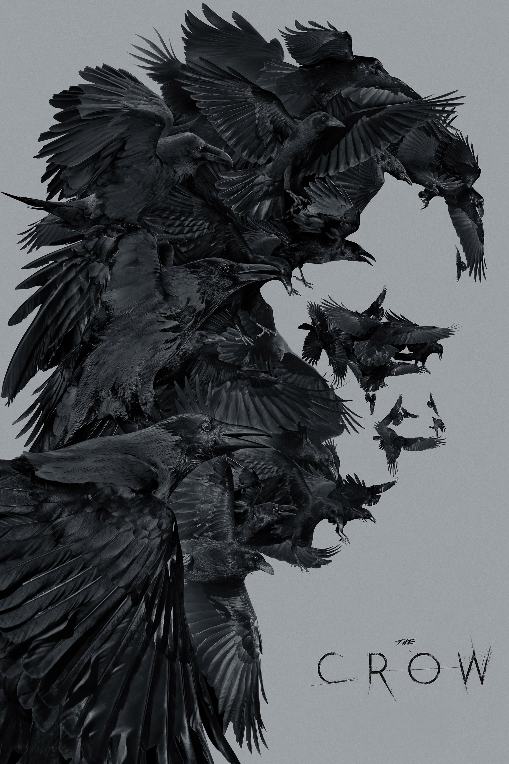 Immagine The Crow - Il corvo - Poster - Sfondi