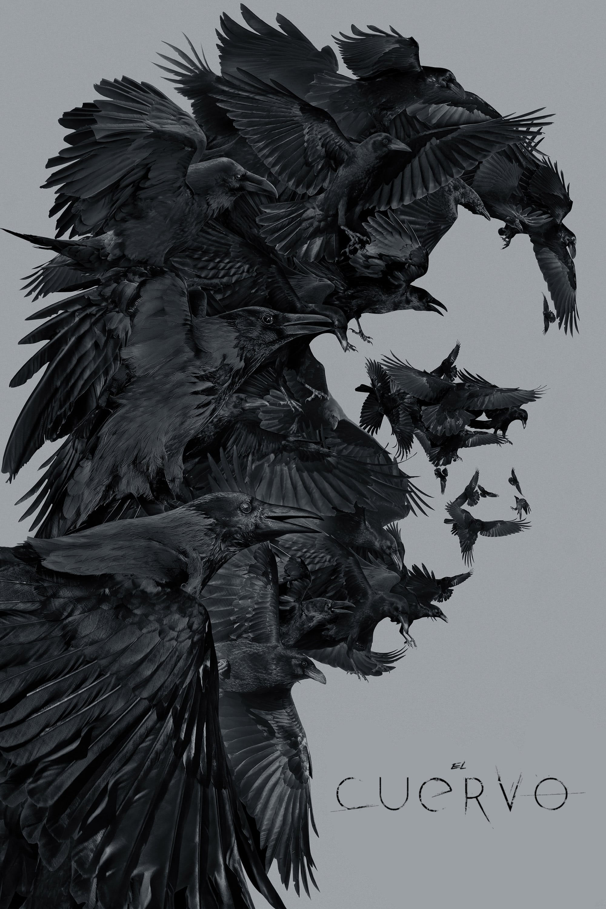 Immagine The Crow - Il corvo - Poster - Sfondi