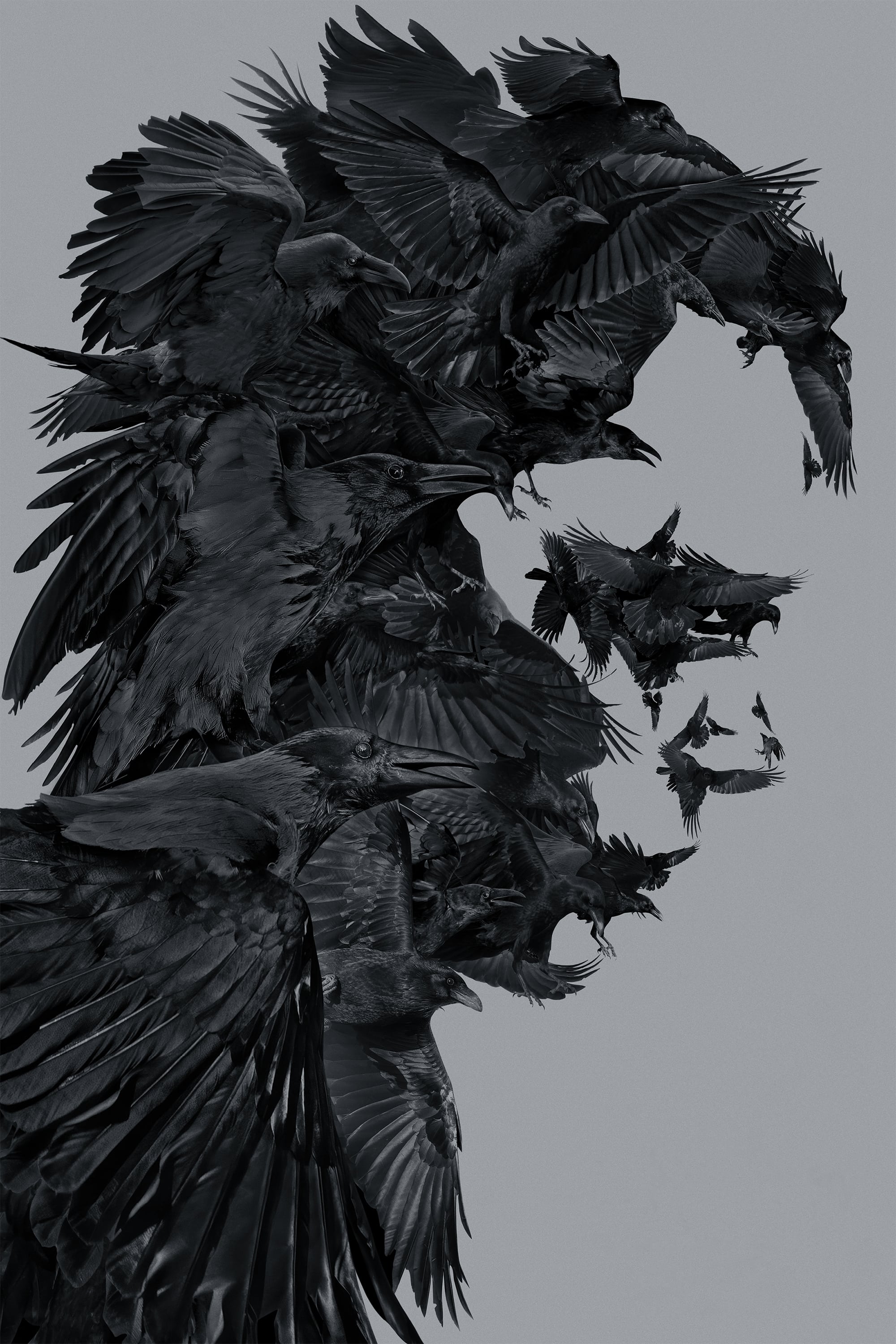 Immagine The Crow - Il corvo - Poster - Sfondi