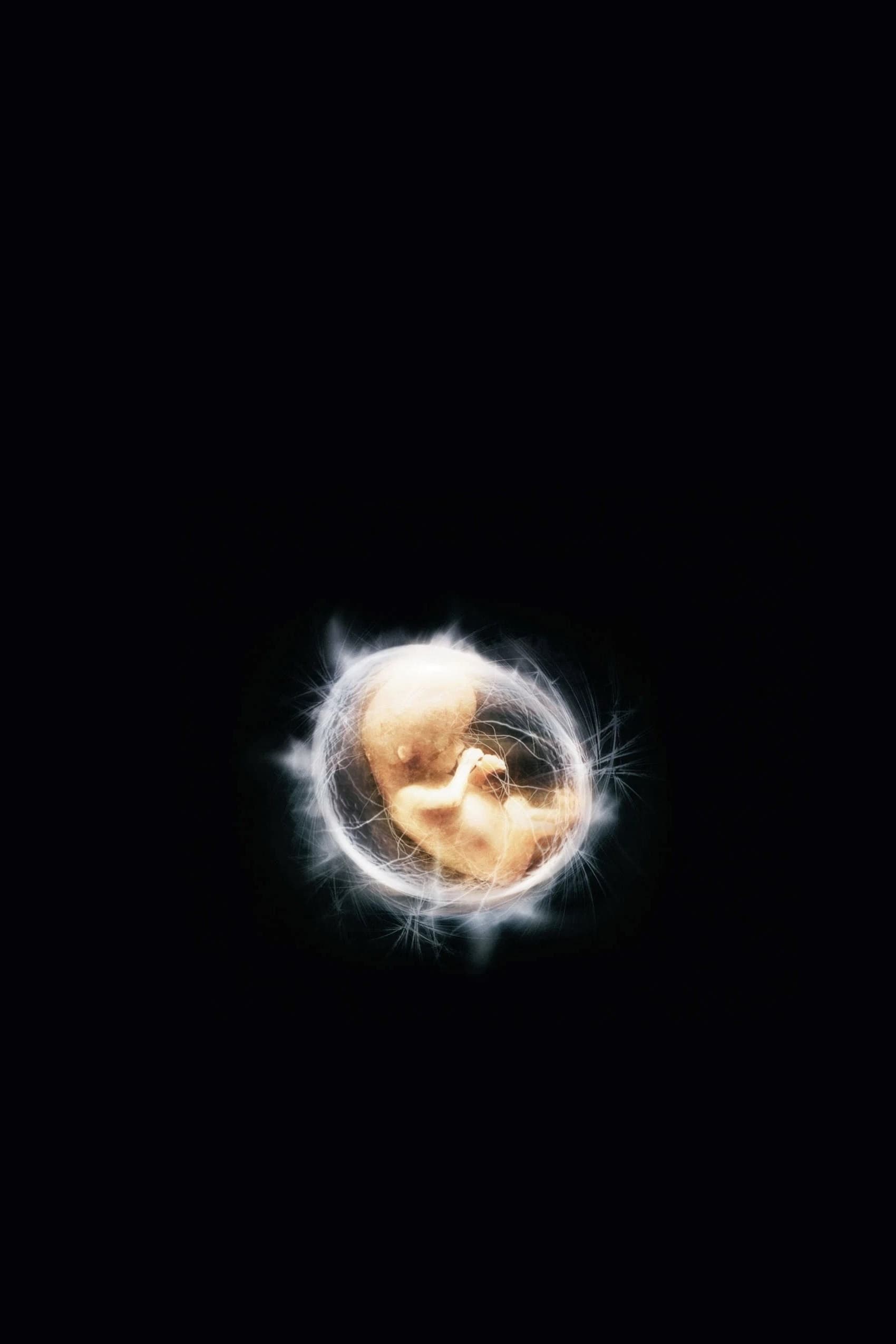 Immagine I figli degli uomini - Poster - Sfondi