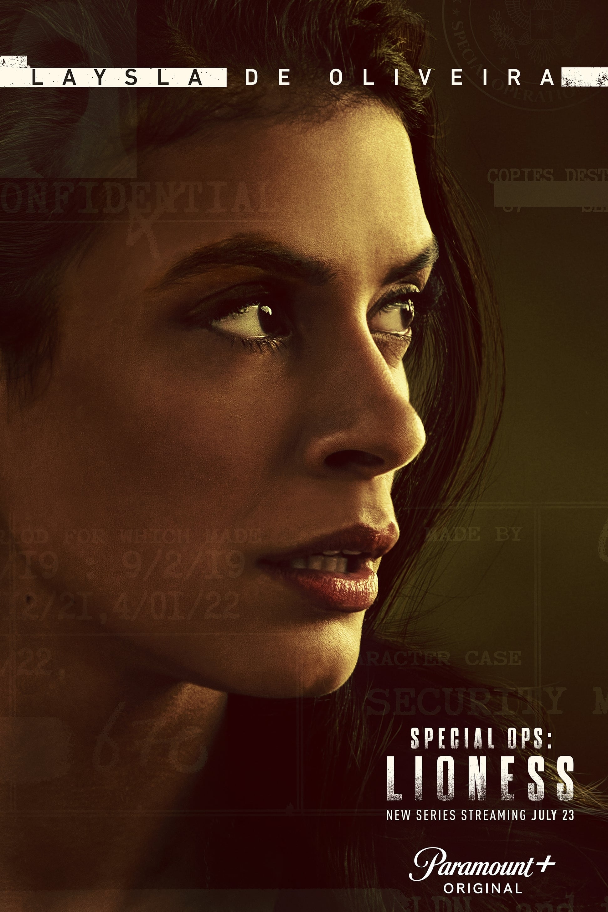 Immagine Poster serie TV 22 Operazione speciale: Lioness