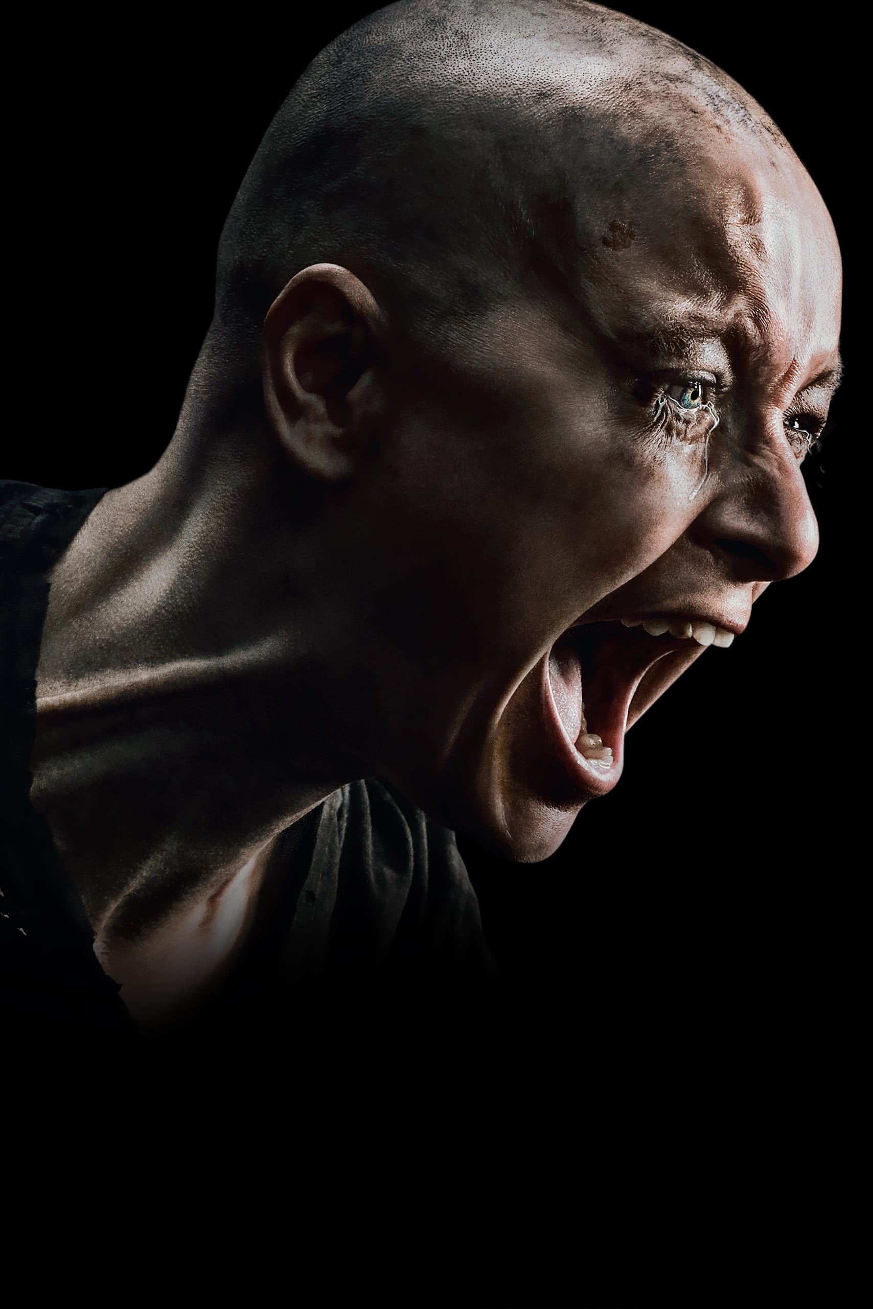 Immagine Poster serie TV 46 The Walking Dead