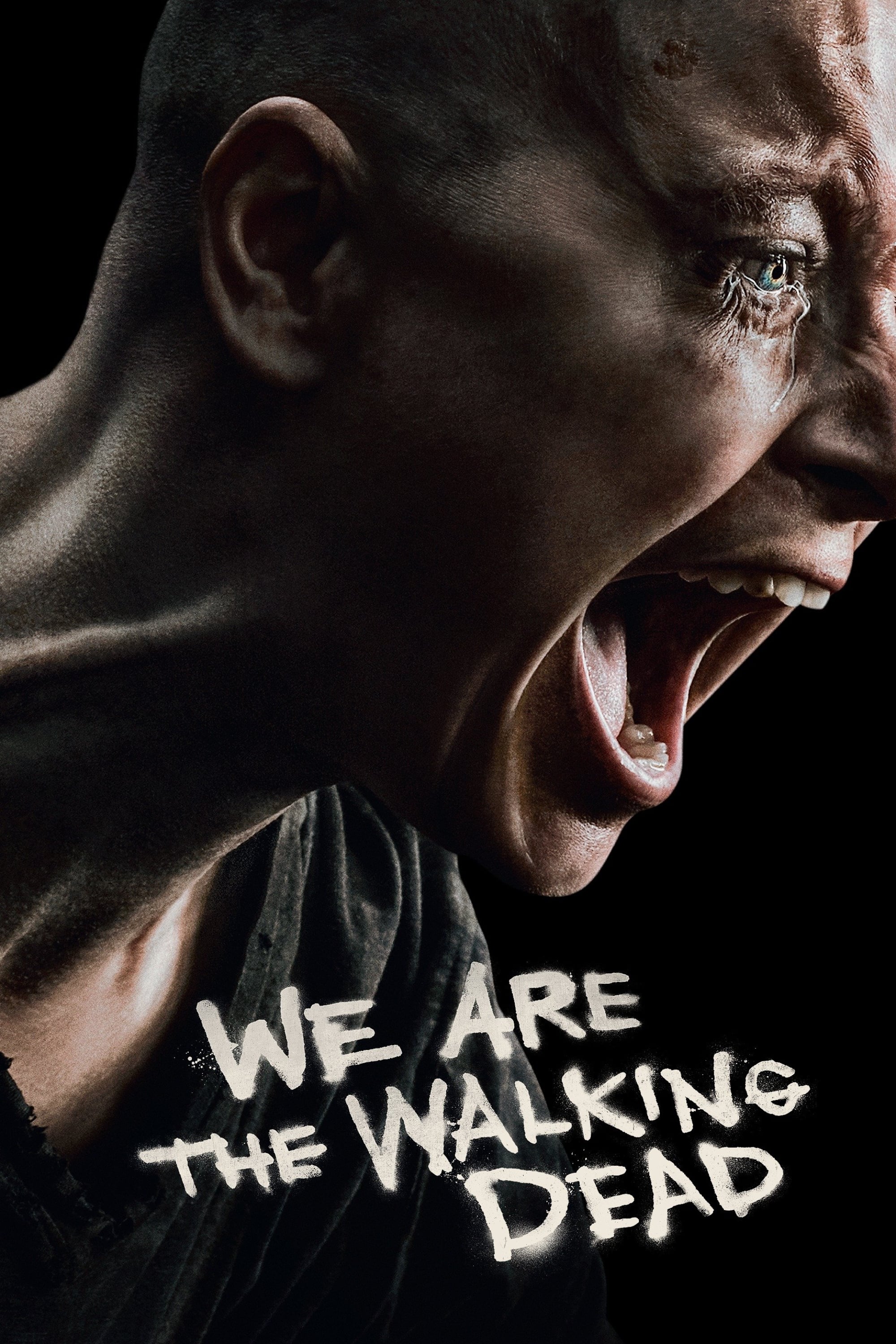 Immagine Poster serie TV 28 The Walking Dead