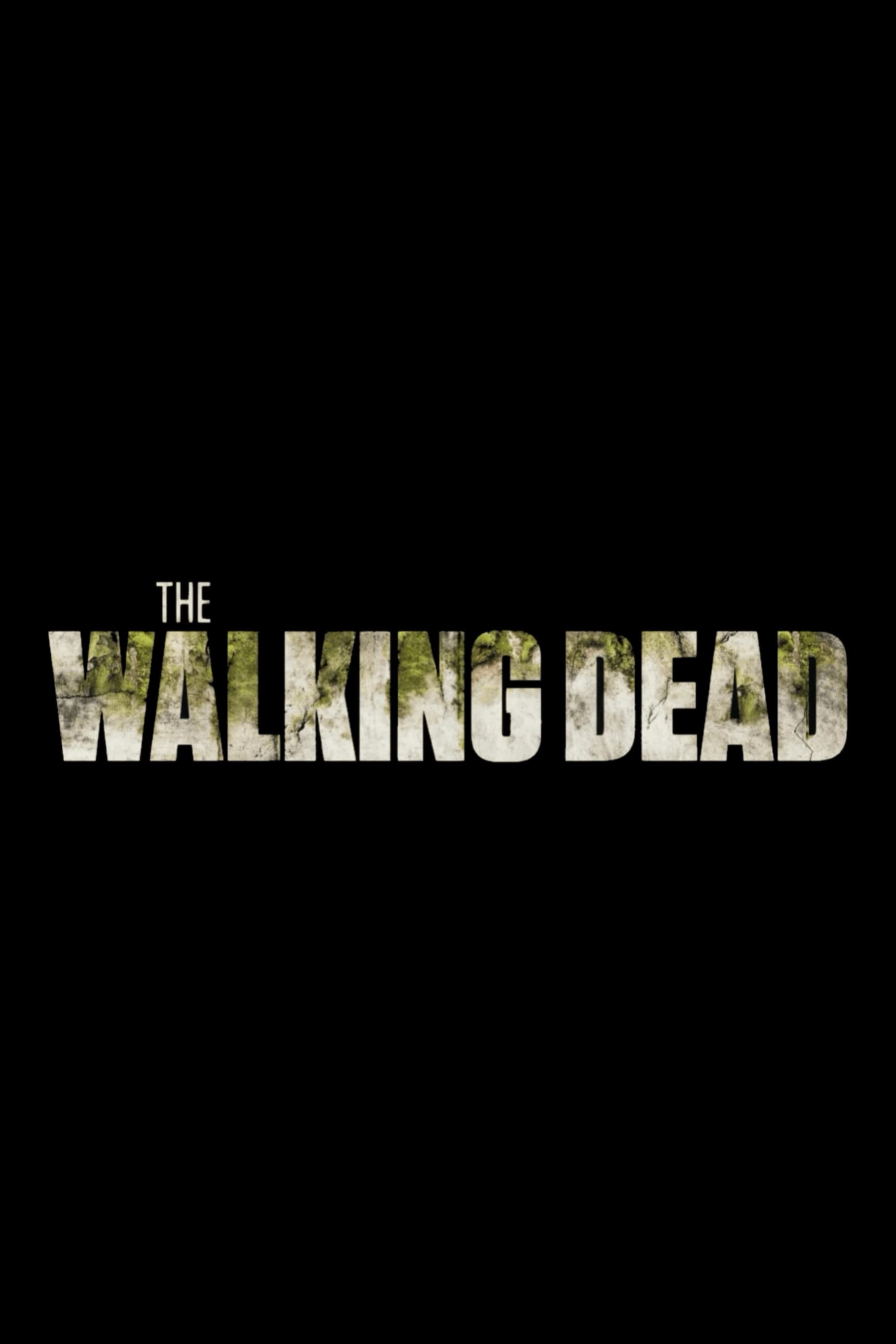 Immagine Poster serie TV 171 The Walking Dead