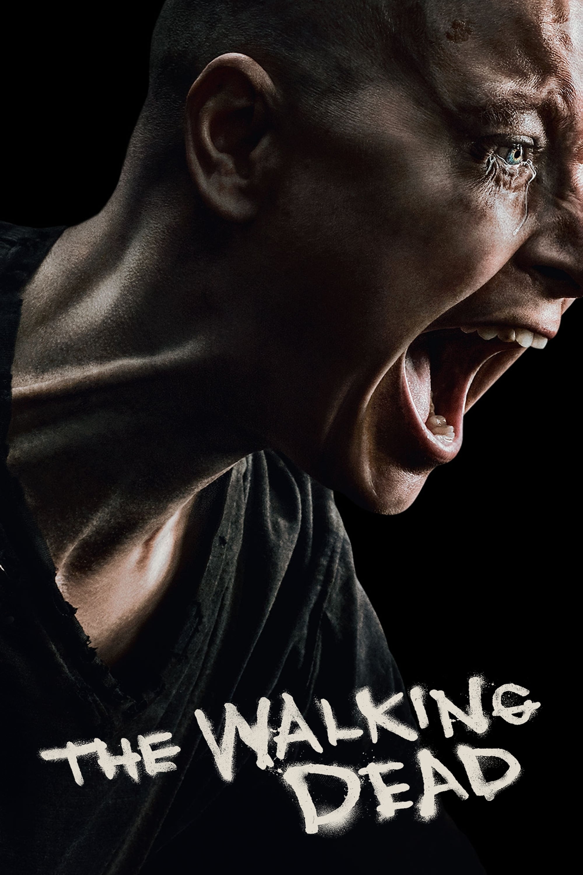 Immagine Poster serie TV 95 The Walking Dead