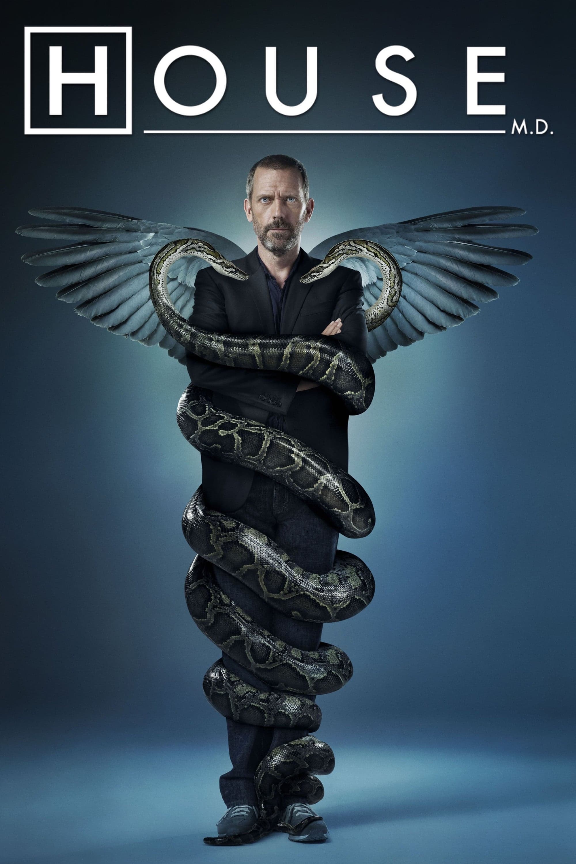 Immagine Poster serie TV 49 Dr. House - Medical Division