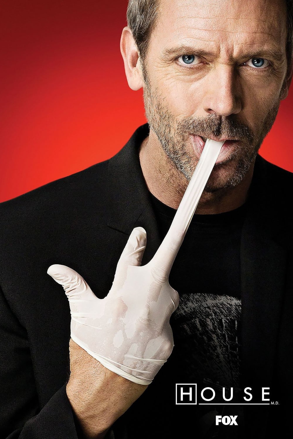 Immagine Poster serie TV 5 Dr. House - Medical Division