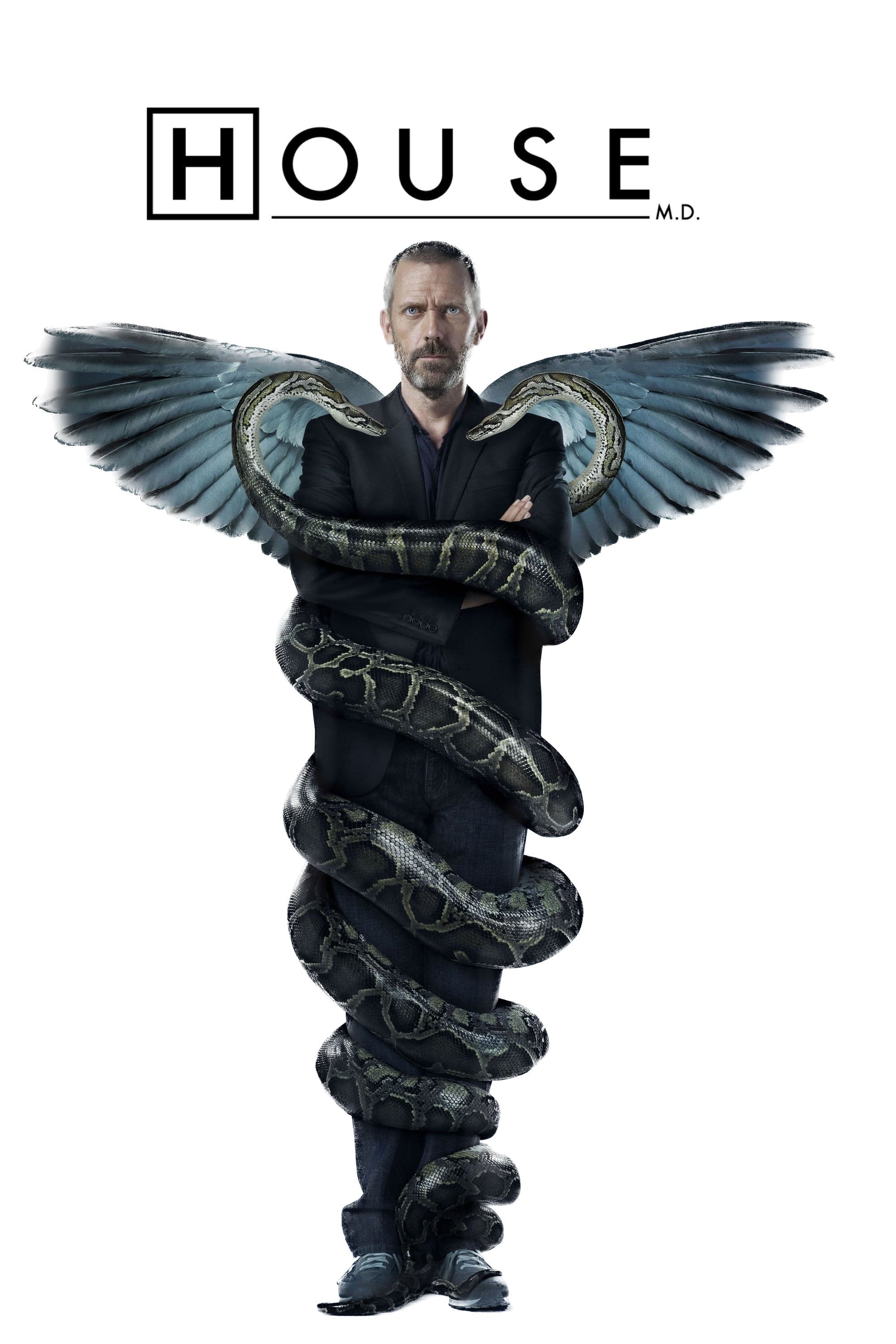 Immagine Poster serie TV 151 Dr. House - Medical Division