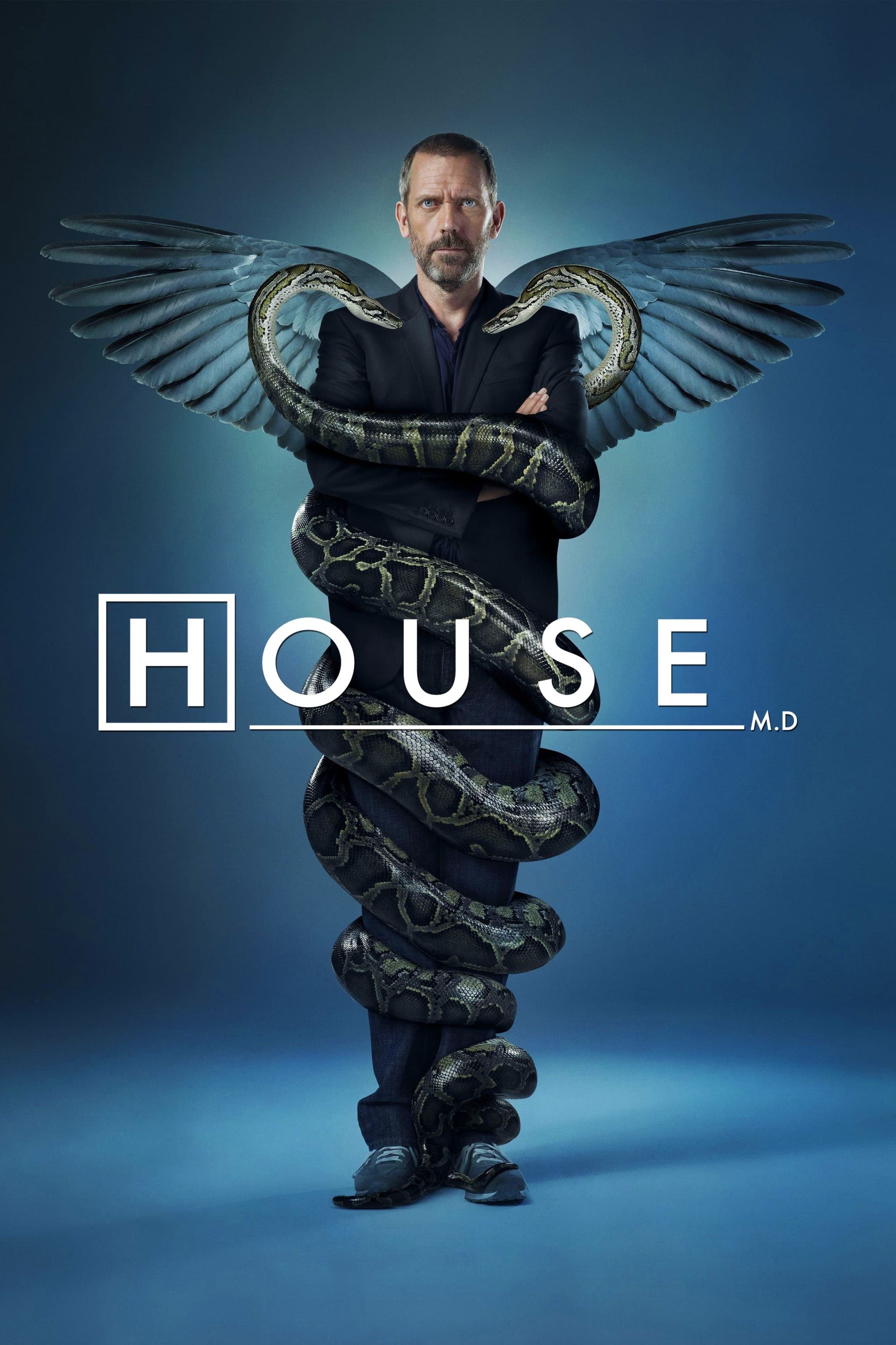 Immagine Poster serie TV 16 Dr. House - Medical Division