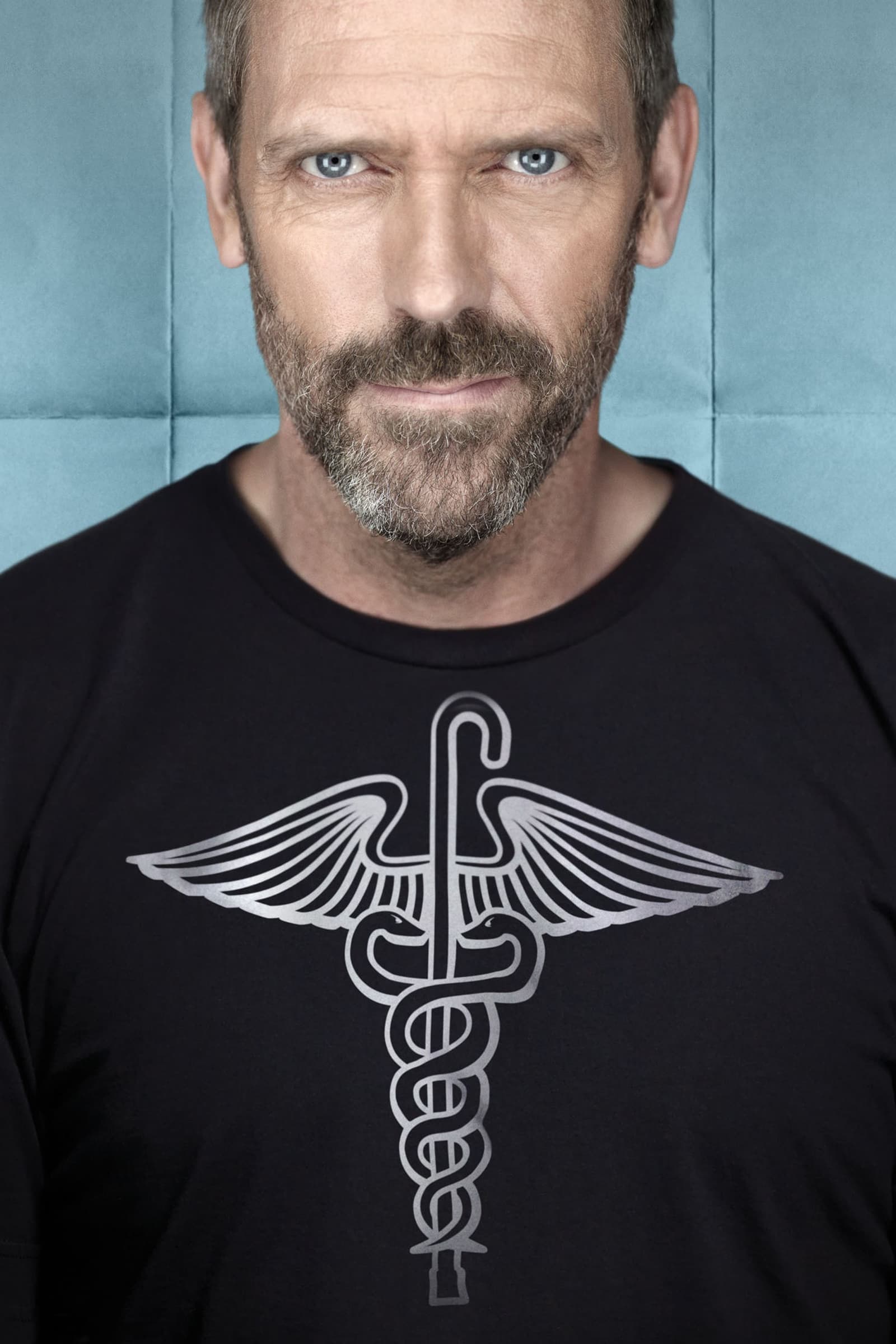 Immagine Poster serie TV 131 Dr. House - Medical Division