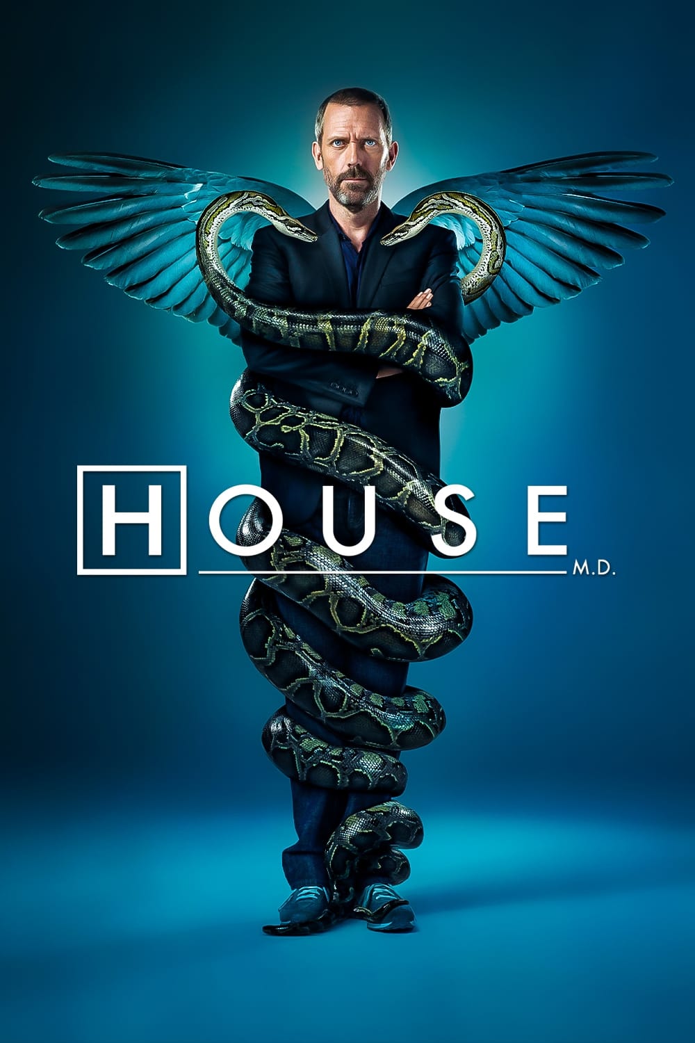 Immagine Poster serie TV 8 Dr. House - Medical Division