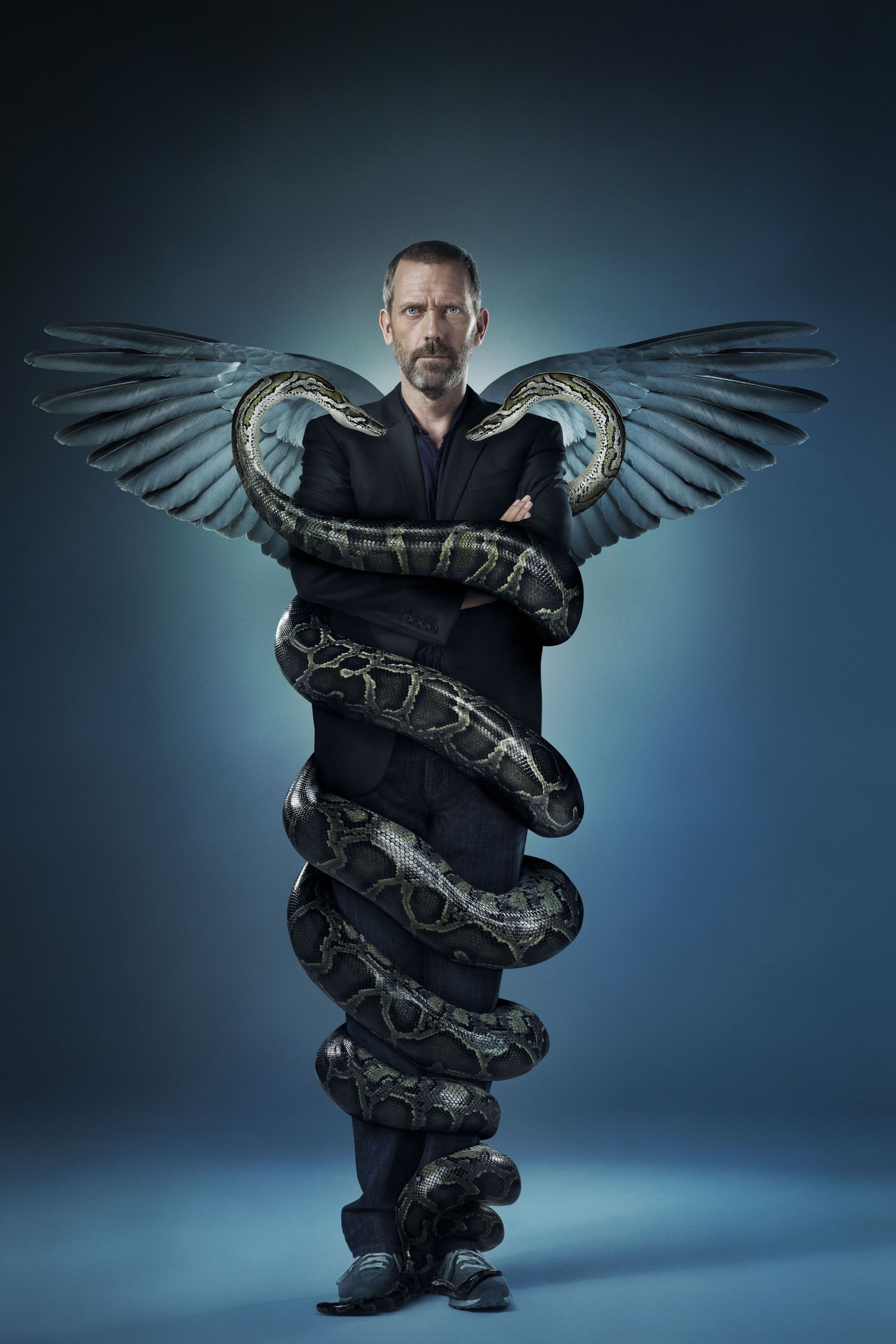 Immagine Poster serie TV 114 Dr. House - Medical Division