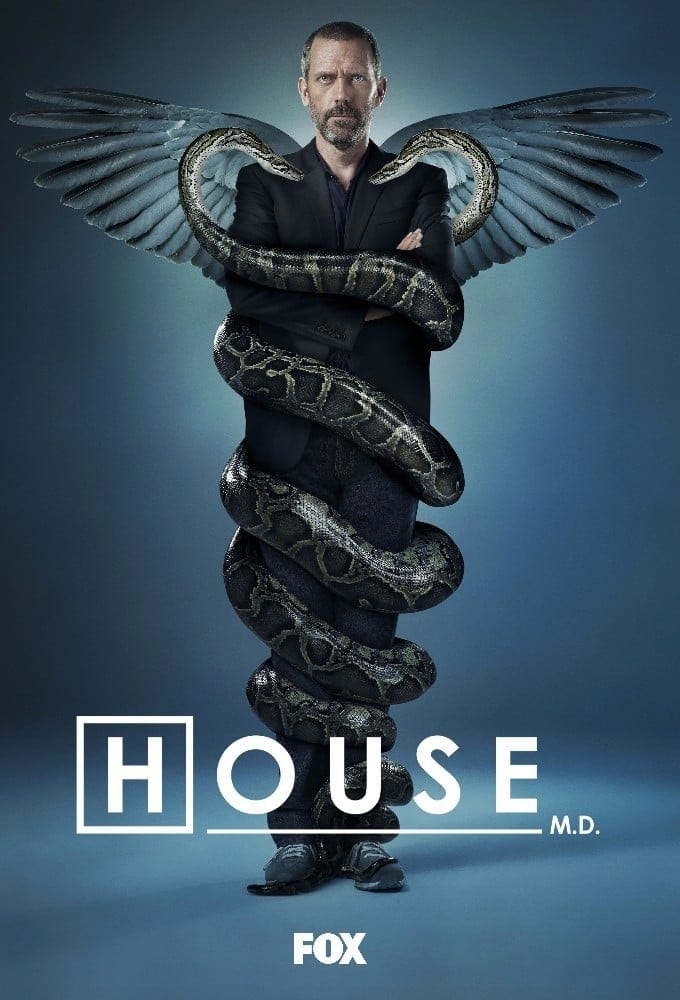 Immagine Poster serie TV 84 Dr. House - Medical Division
