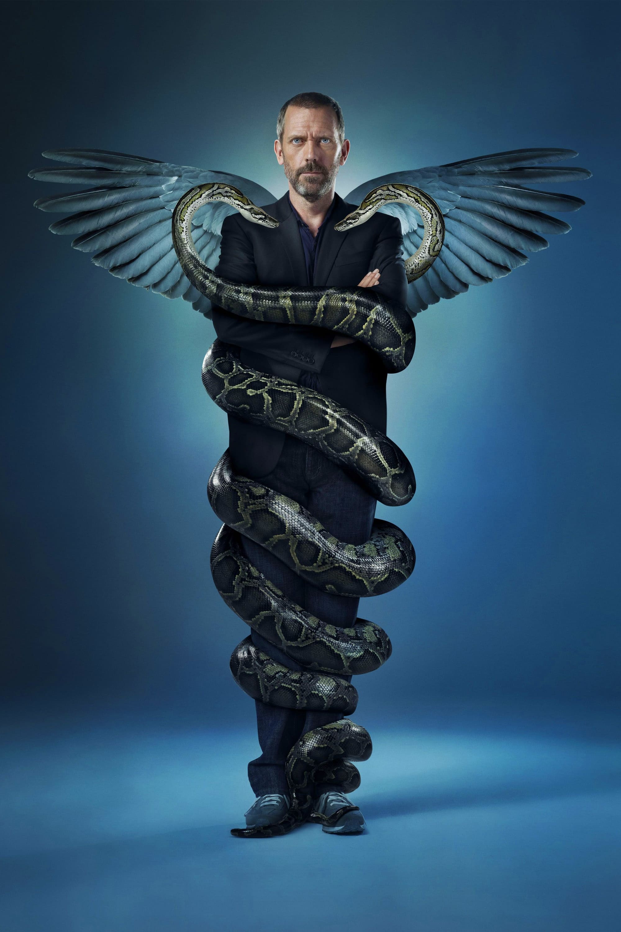 Immagine Poster serie TV 130 Dr. House - Medical Division