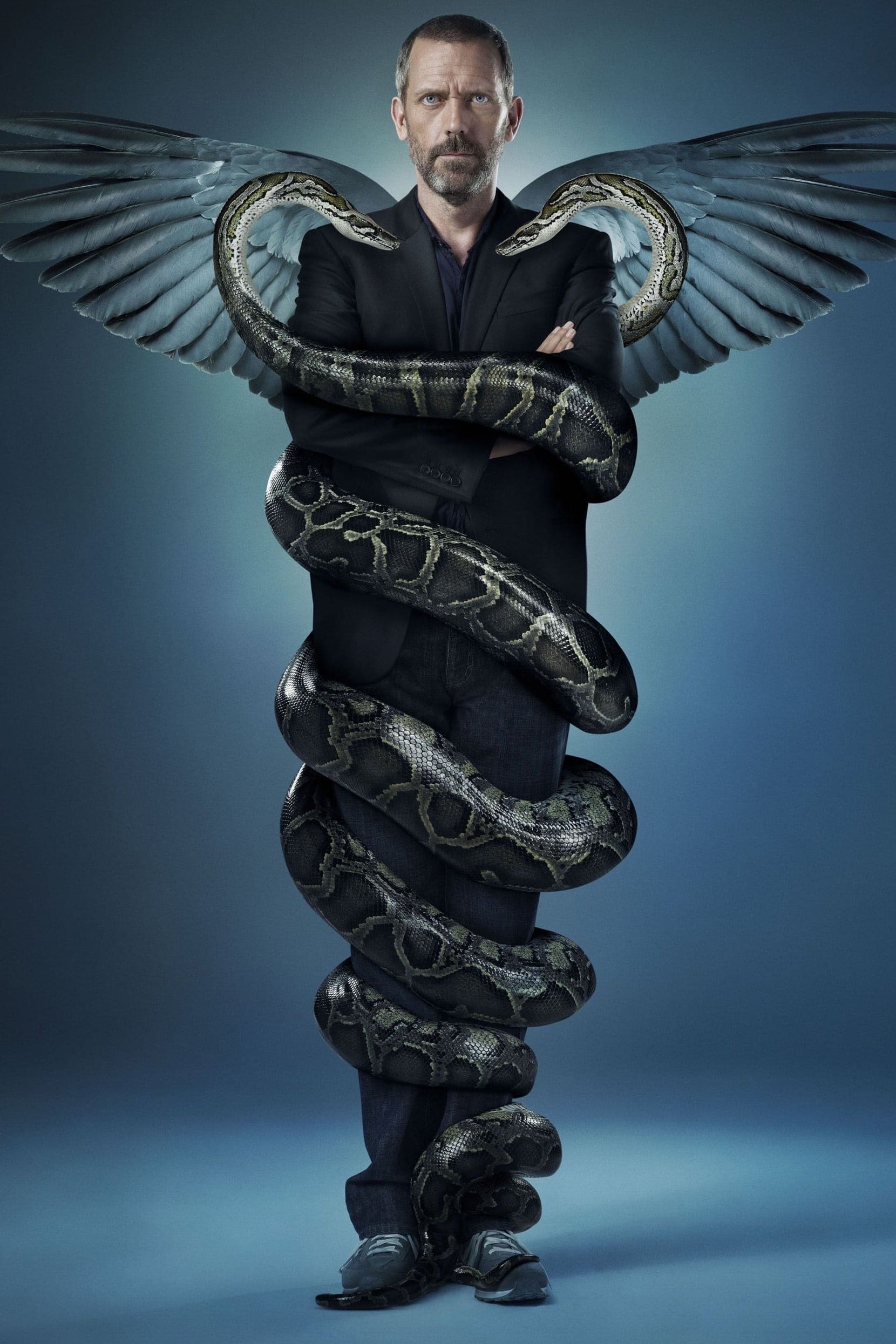 Immagine Poster serie TV 159 Dr. House - Medical Division