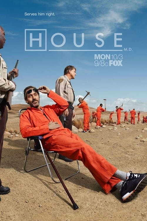 Immagine Poster serie TV 89 Dr. House - Medical Division