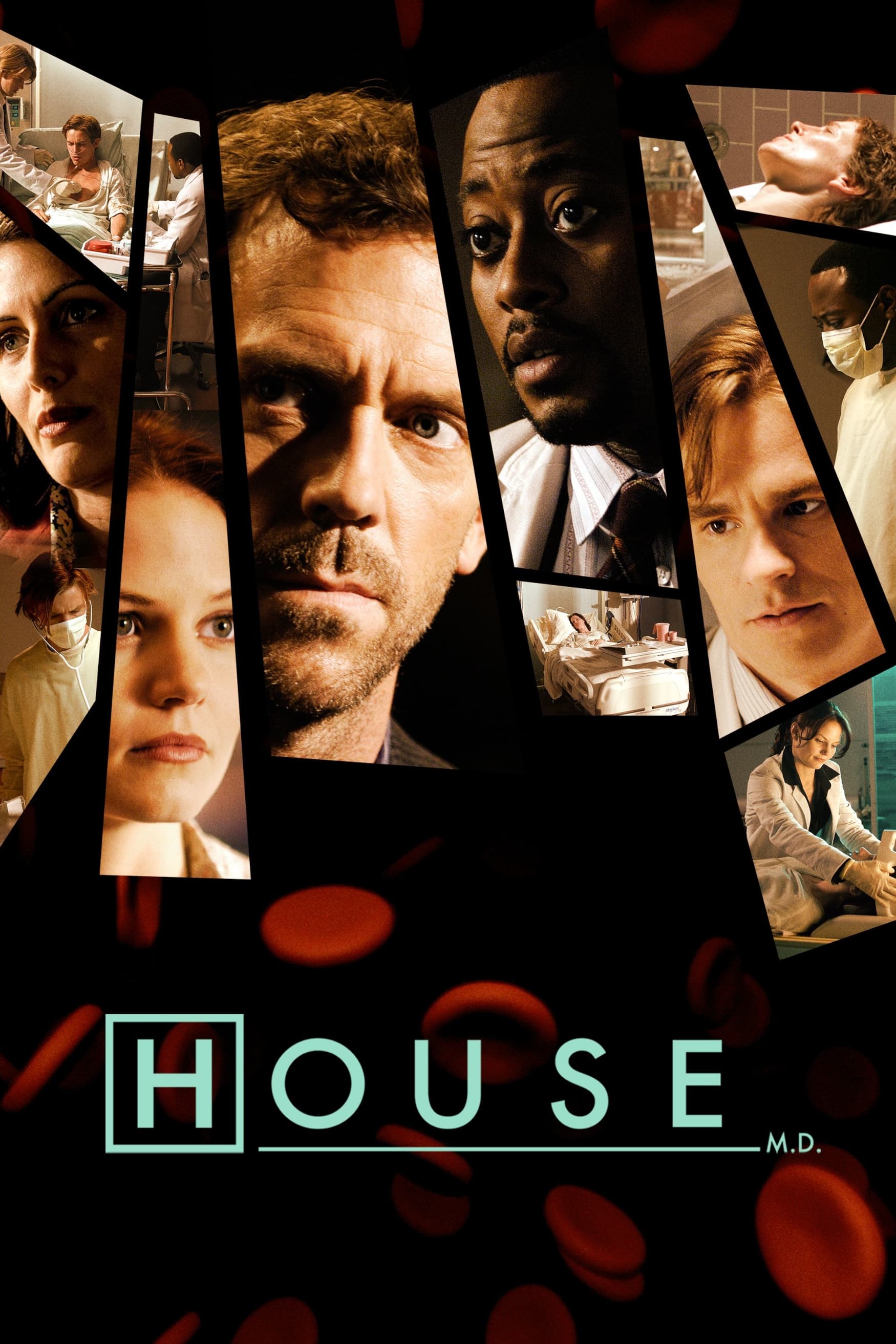 Immagine Poster serie TV 162 Dr. House - Medical Division
