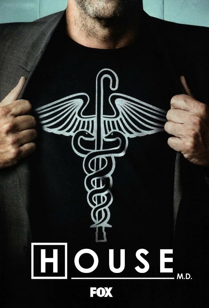 Immagine Poster serie TV 87 Dr. House - Medical Division